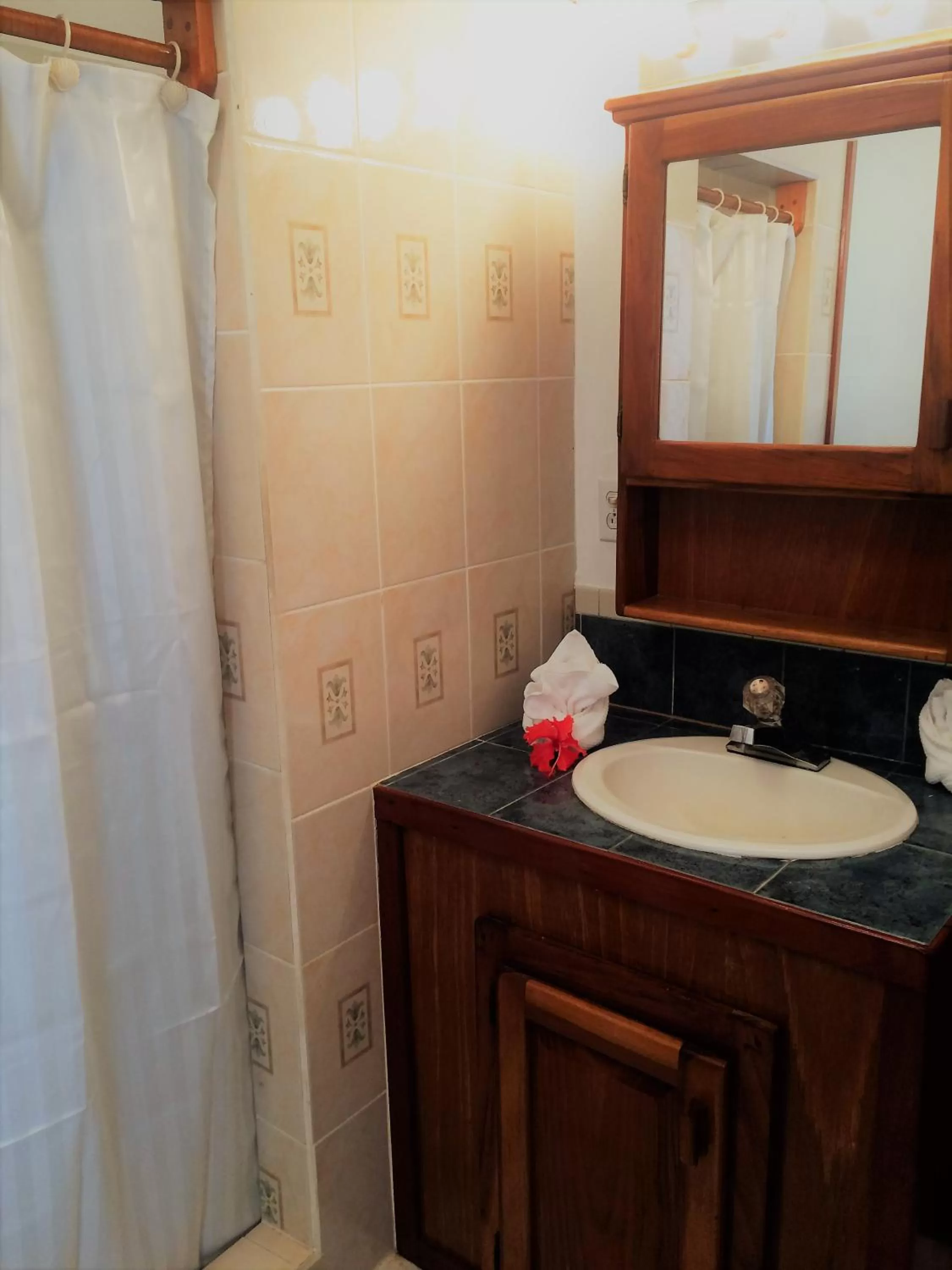 Bathroom in Wild Orchid