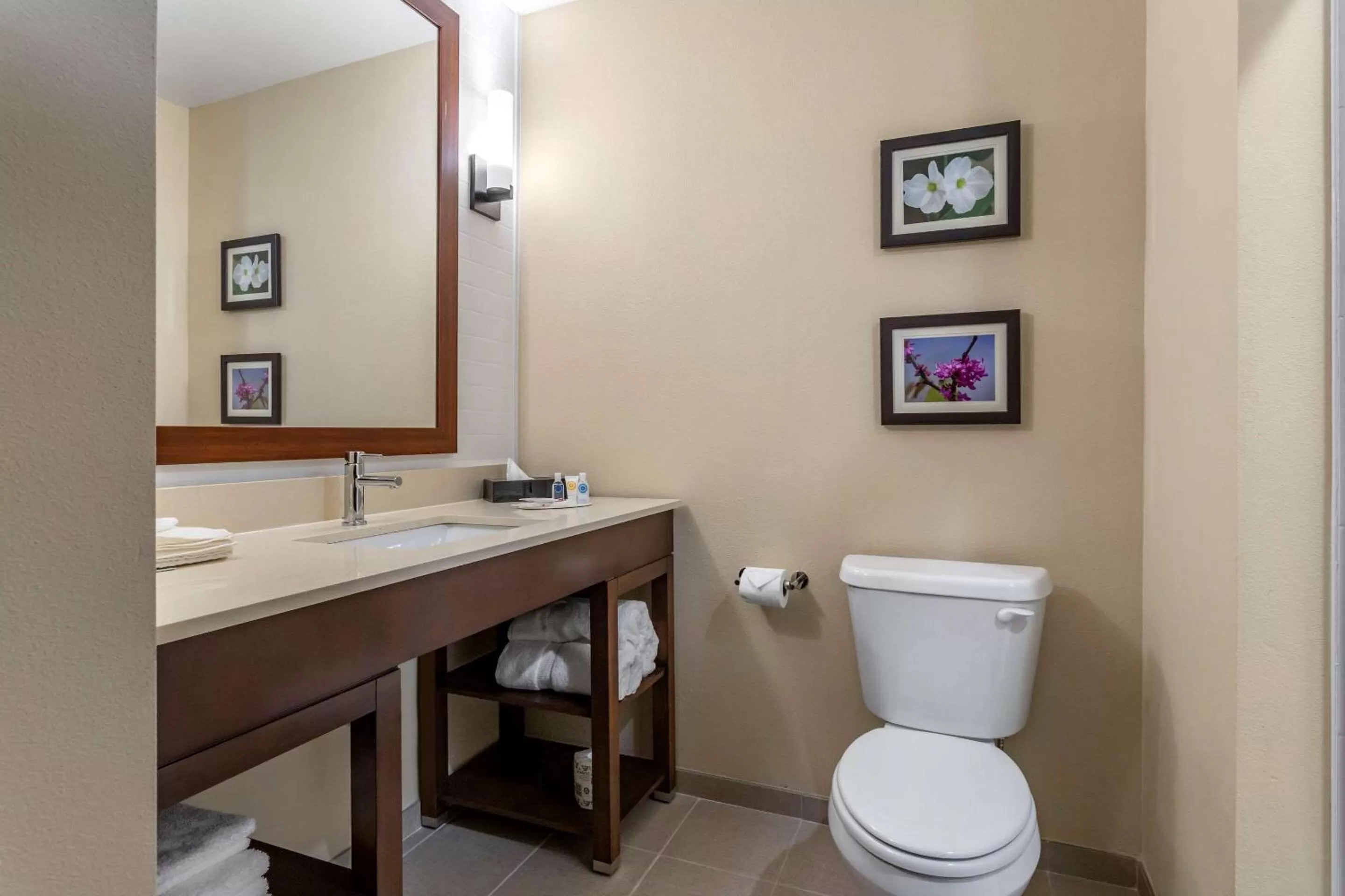 Bathroom in Comfort Inn & Suites Waller
