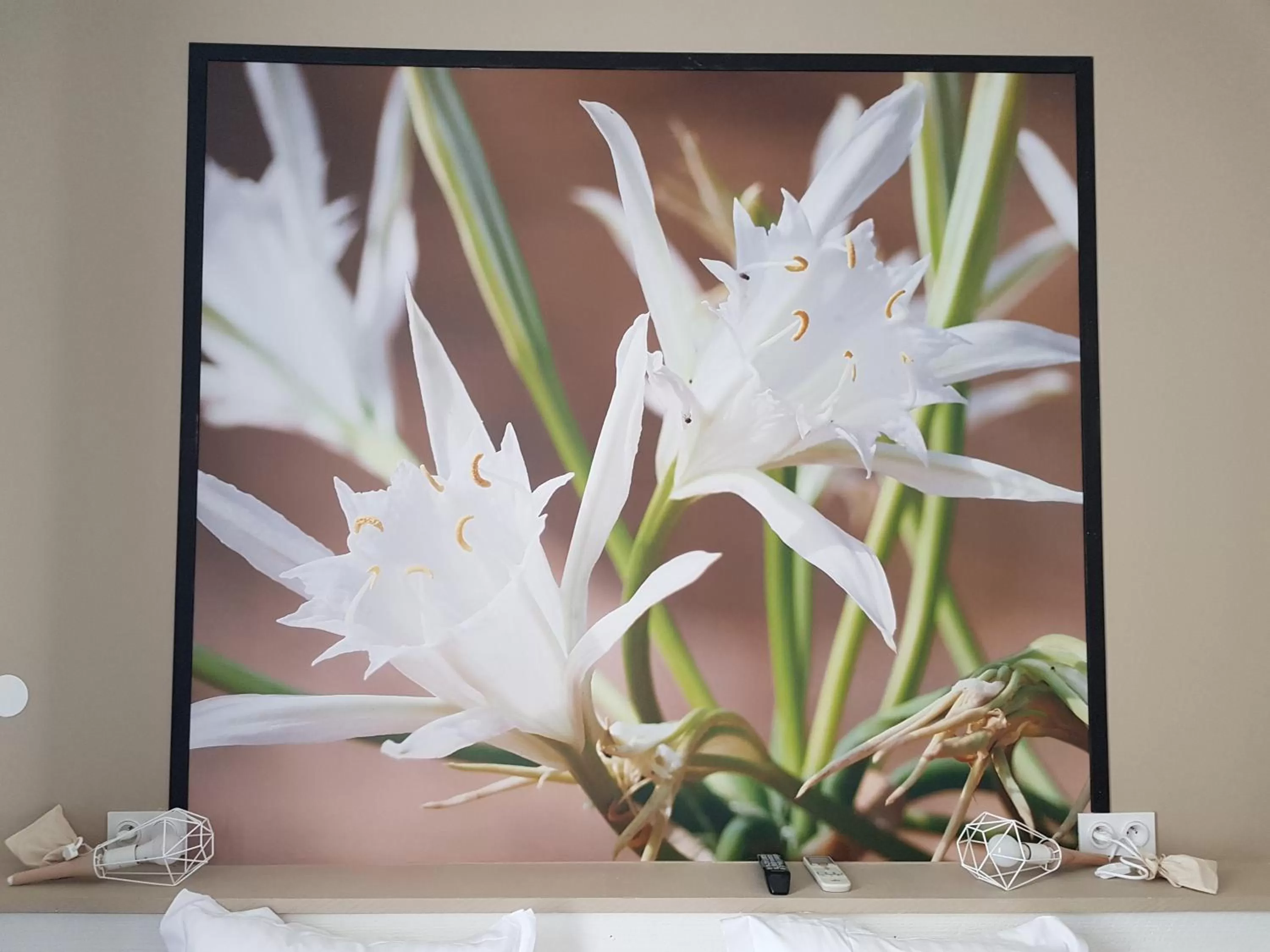 Hôtel-Restaurant "Chez Carrière"