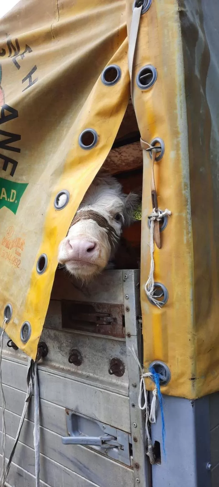 Etno selo Vile Jefimija, selo Preobrazenje, Vranje