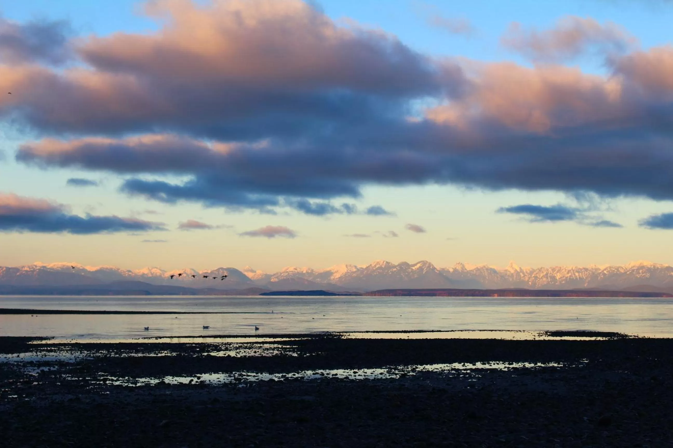 Beach in Ramada by Wyndham Campbell River