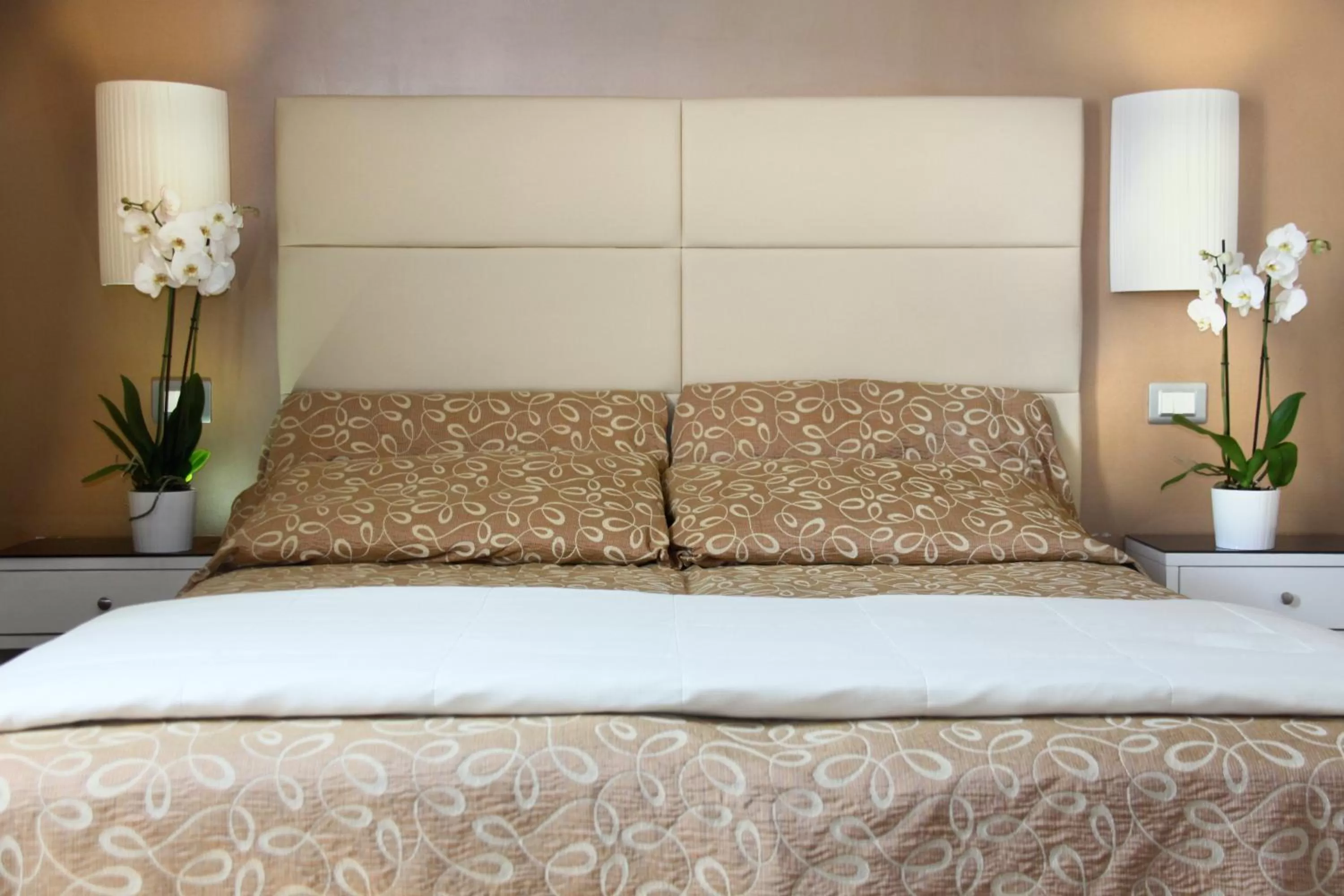 Superior Double Room in Hotel Regit