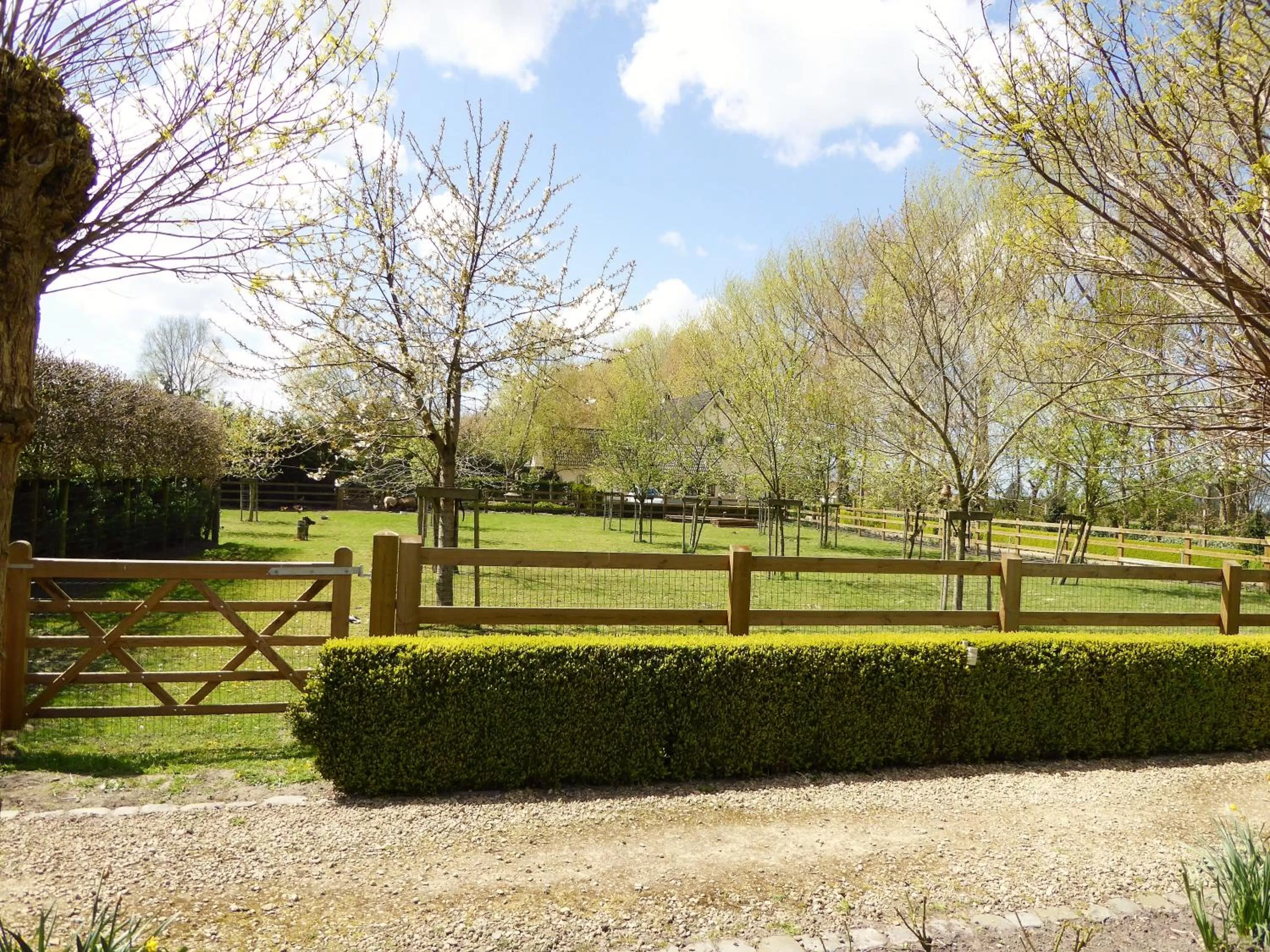 Garden view in Boutique hotel Het Bloemenhof