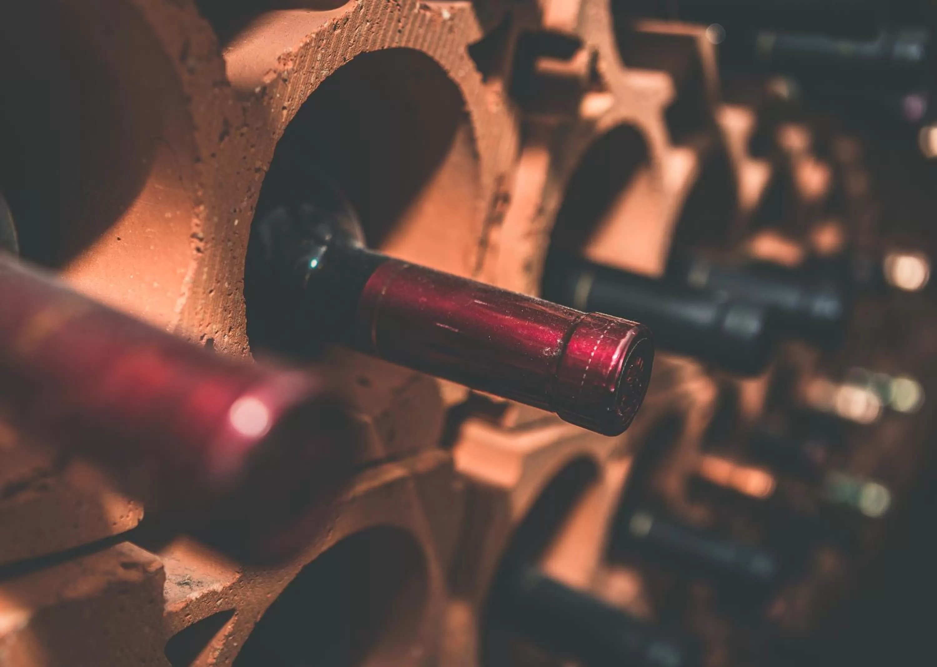 Restaurant/places to eat in Hotel Allegra