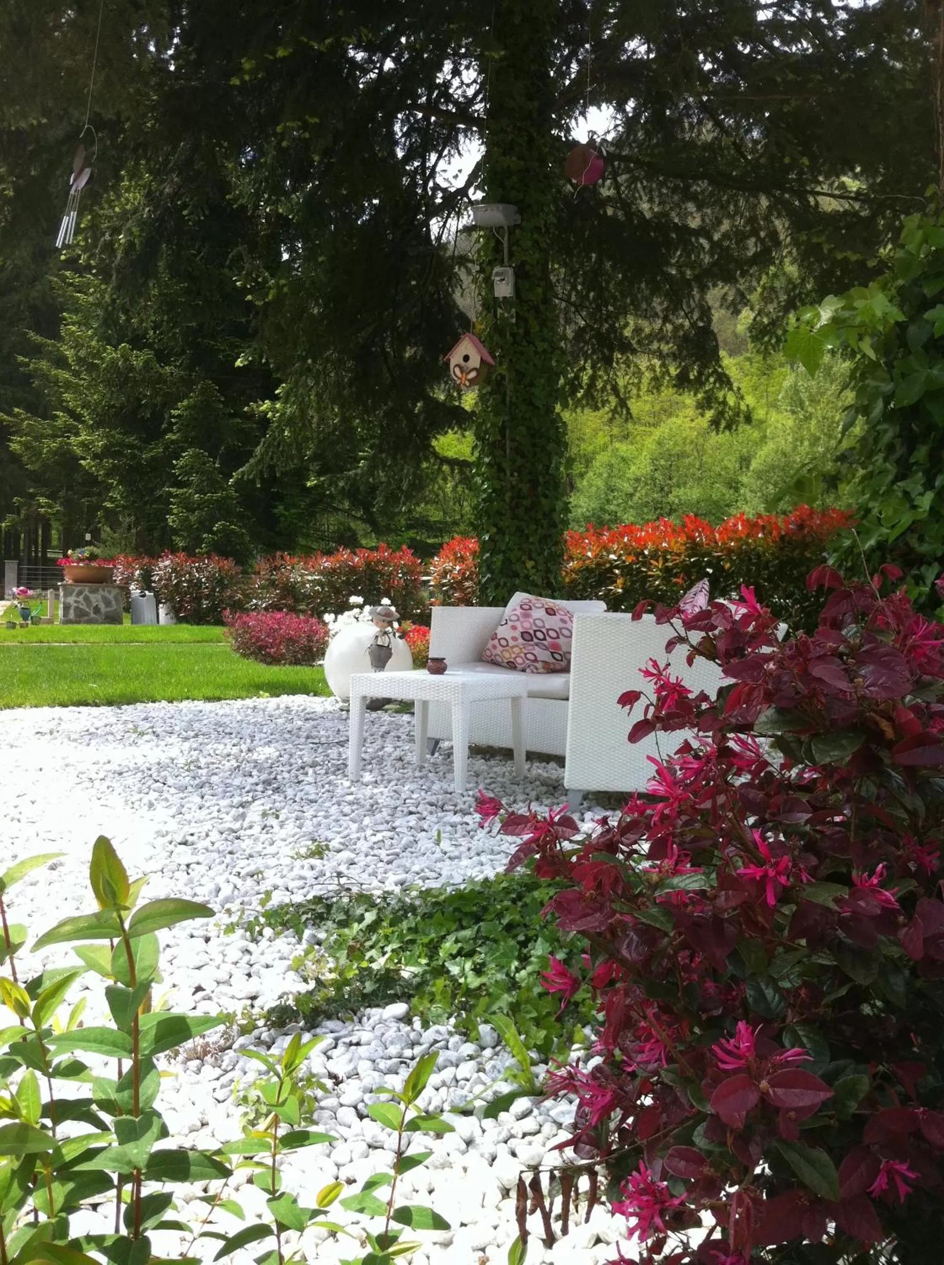 Garden in Hotel Abetaia