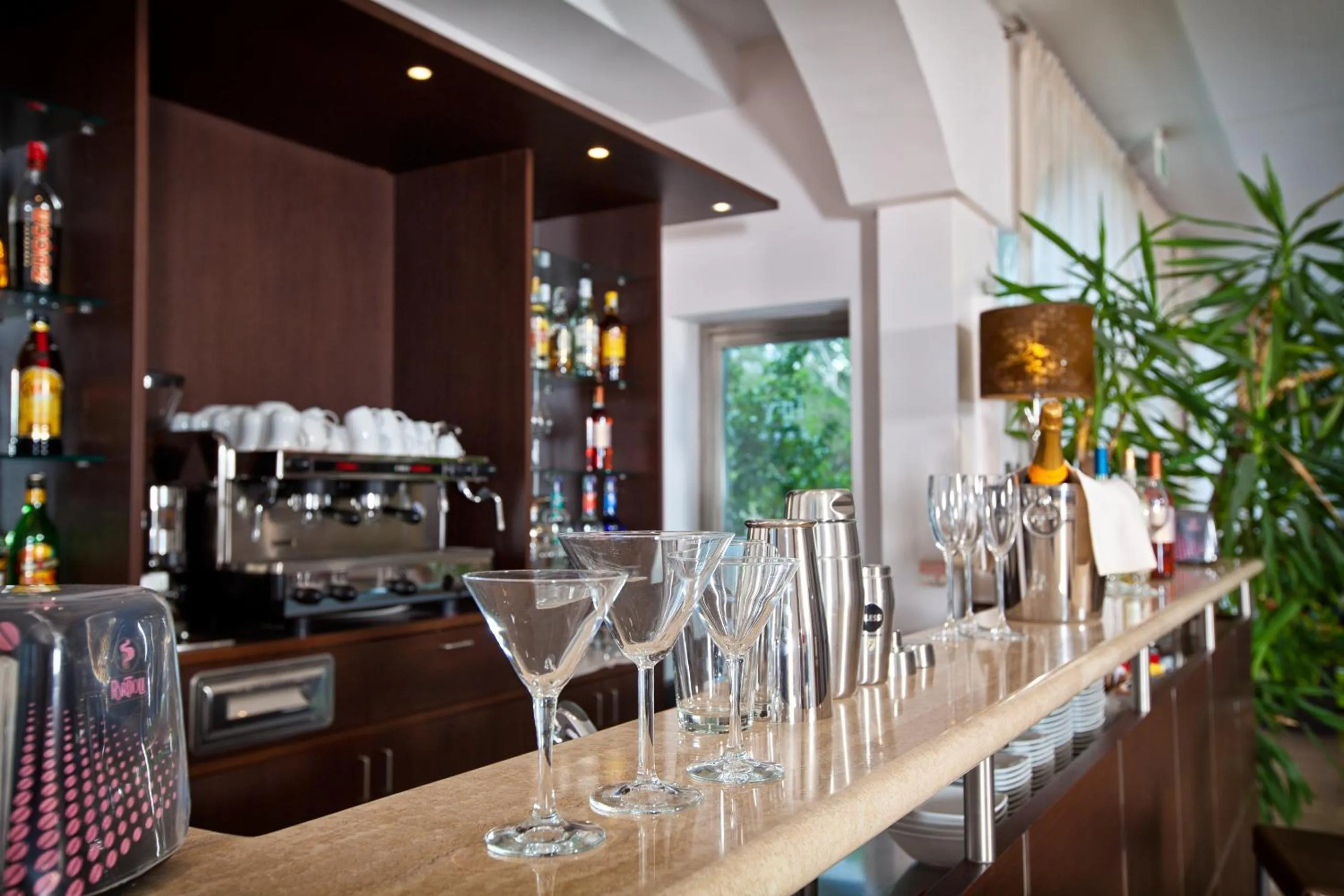 Drinks in Hotel For You