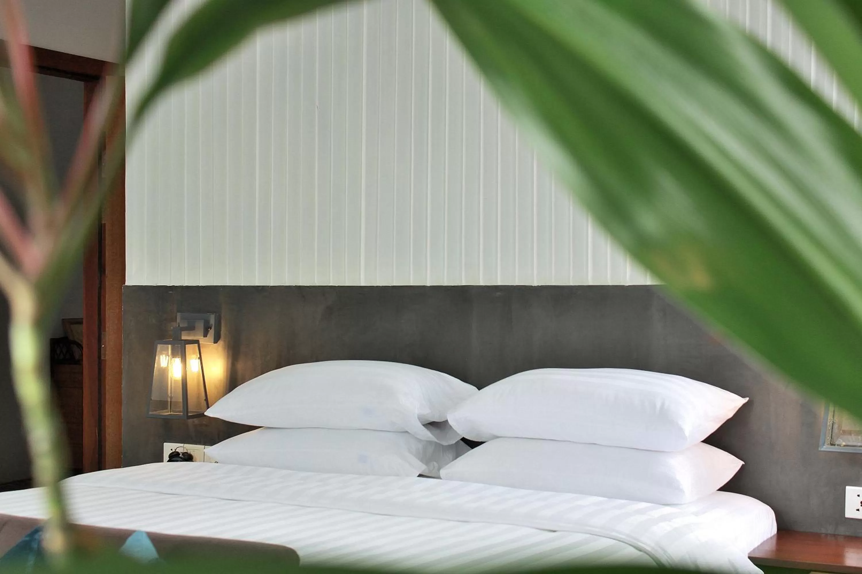 Photo of the whole room, Room Photo in William's Houses