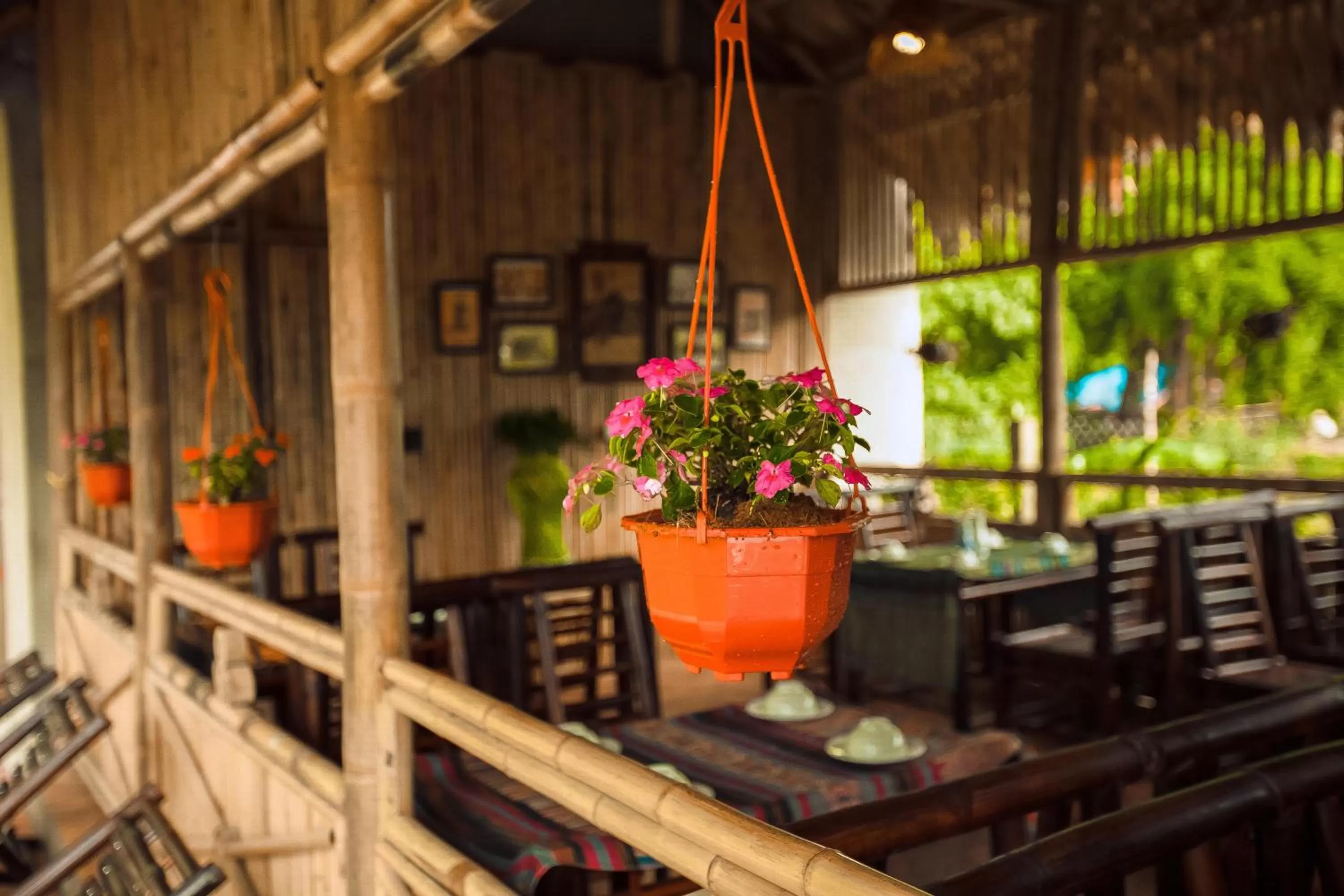 Restaurant/places to eat in Tam Coc Rice Fields Resort