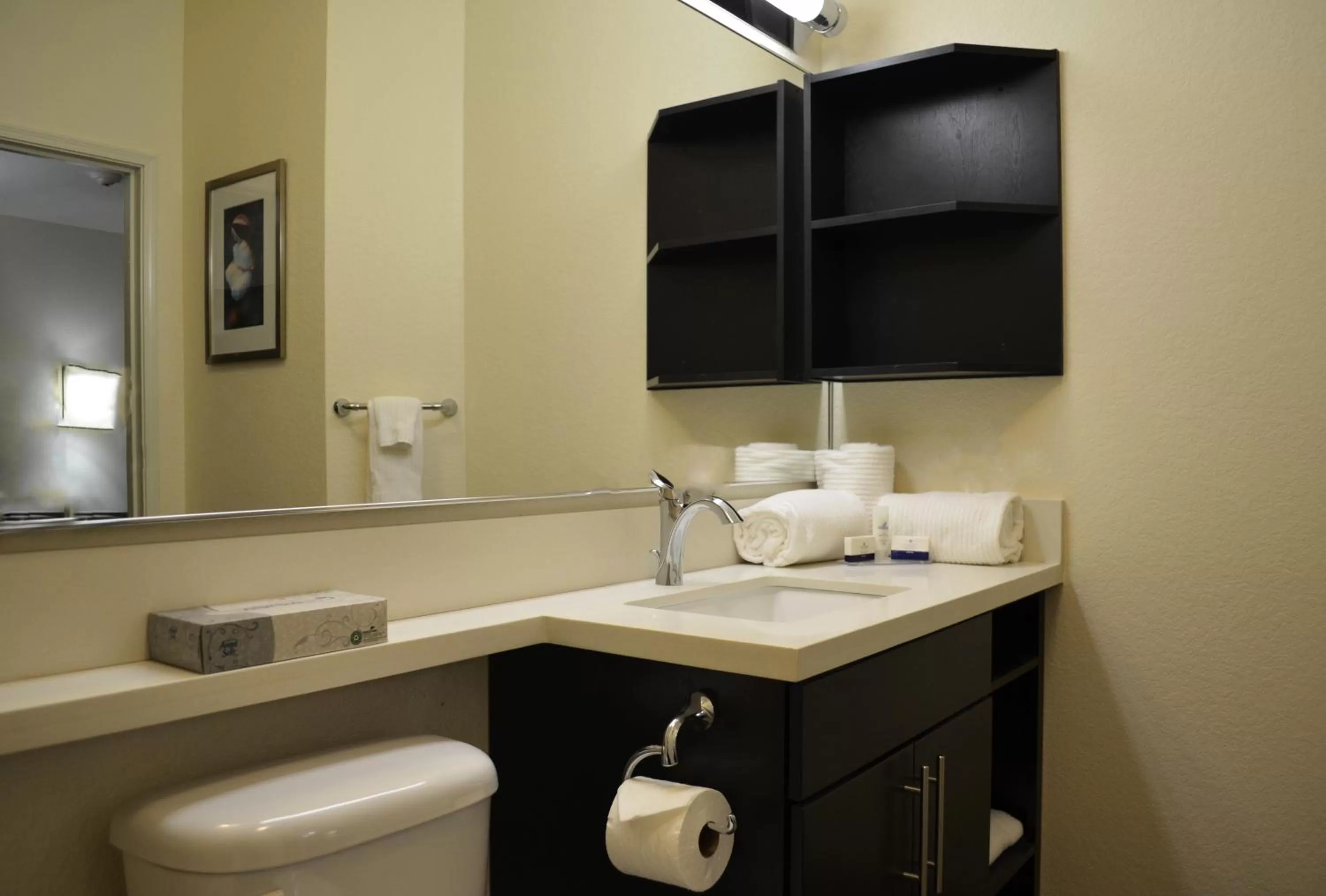 Bathroom in Candlewood Suites Greenville by IHG