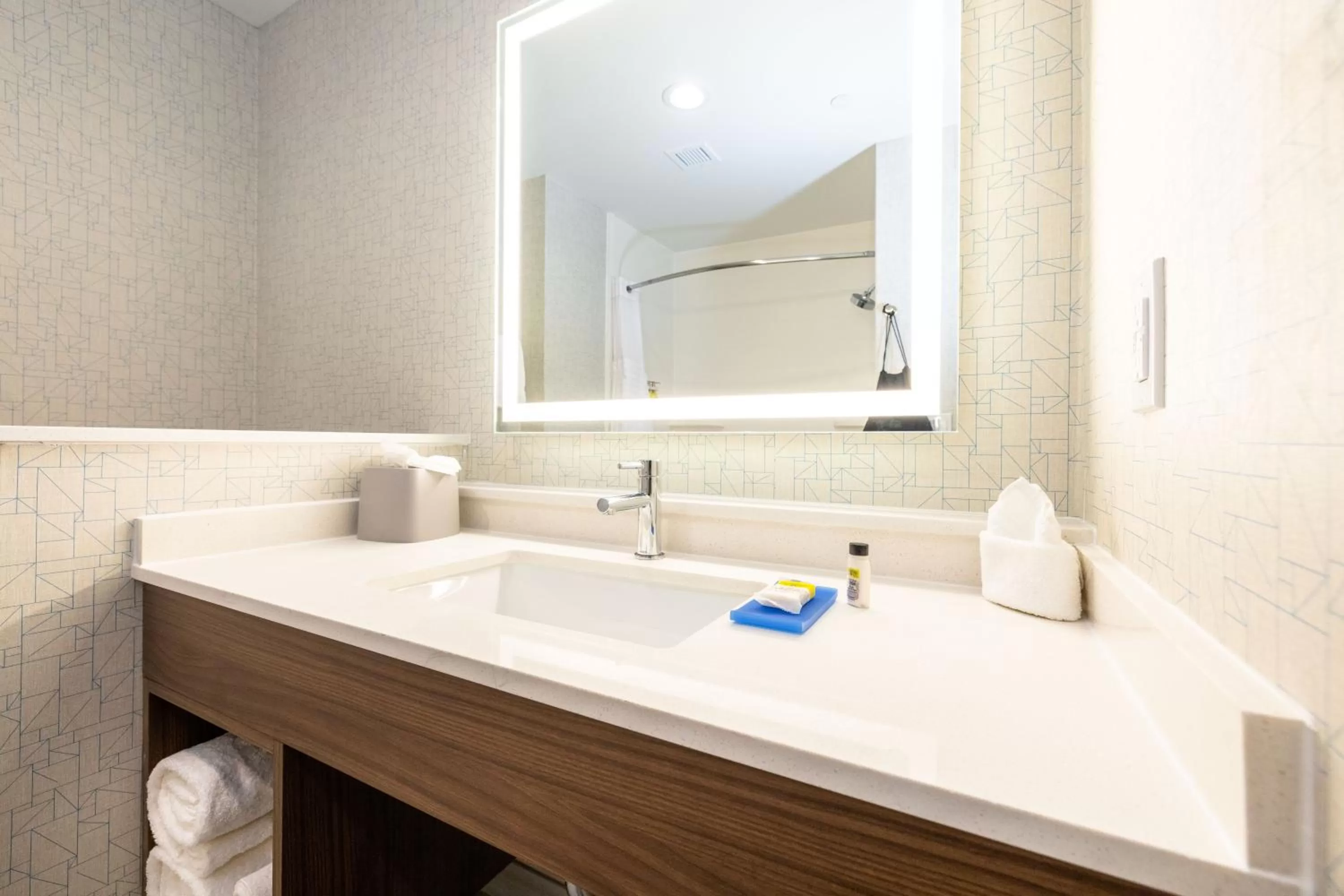 Bathroom in Holiday Inn Express & Suites - San Jose Silicon Valley by IHG