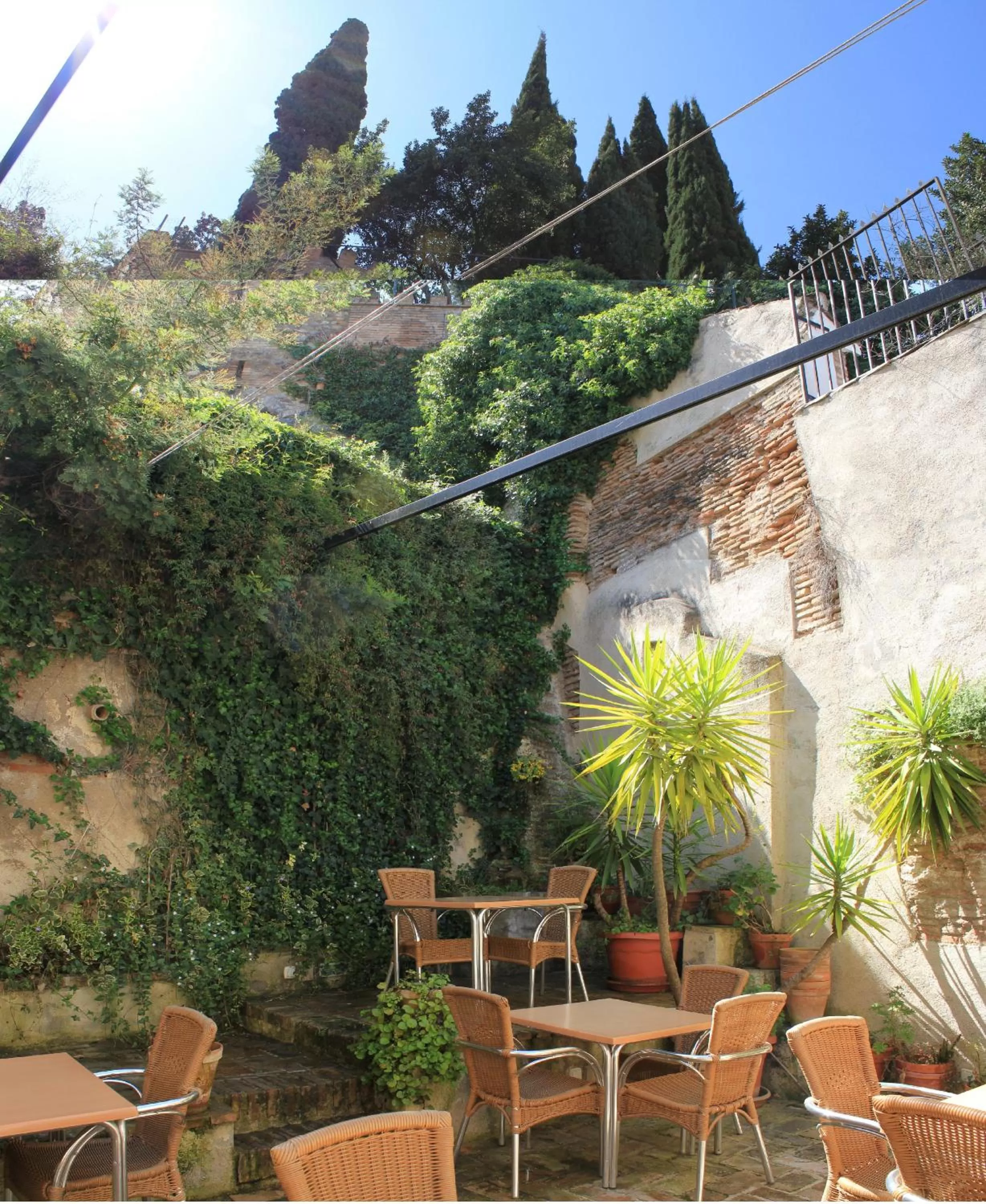 Garden in Hotel Boutique Puerta de las Granadas