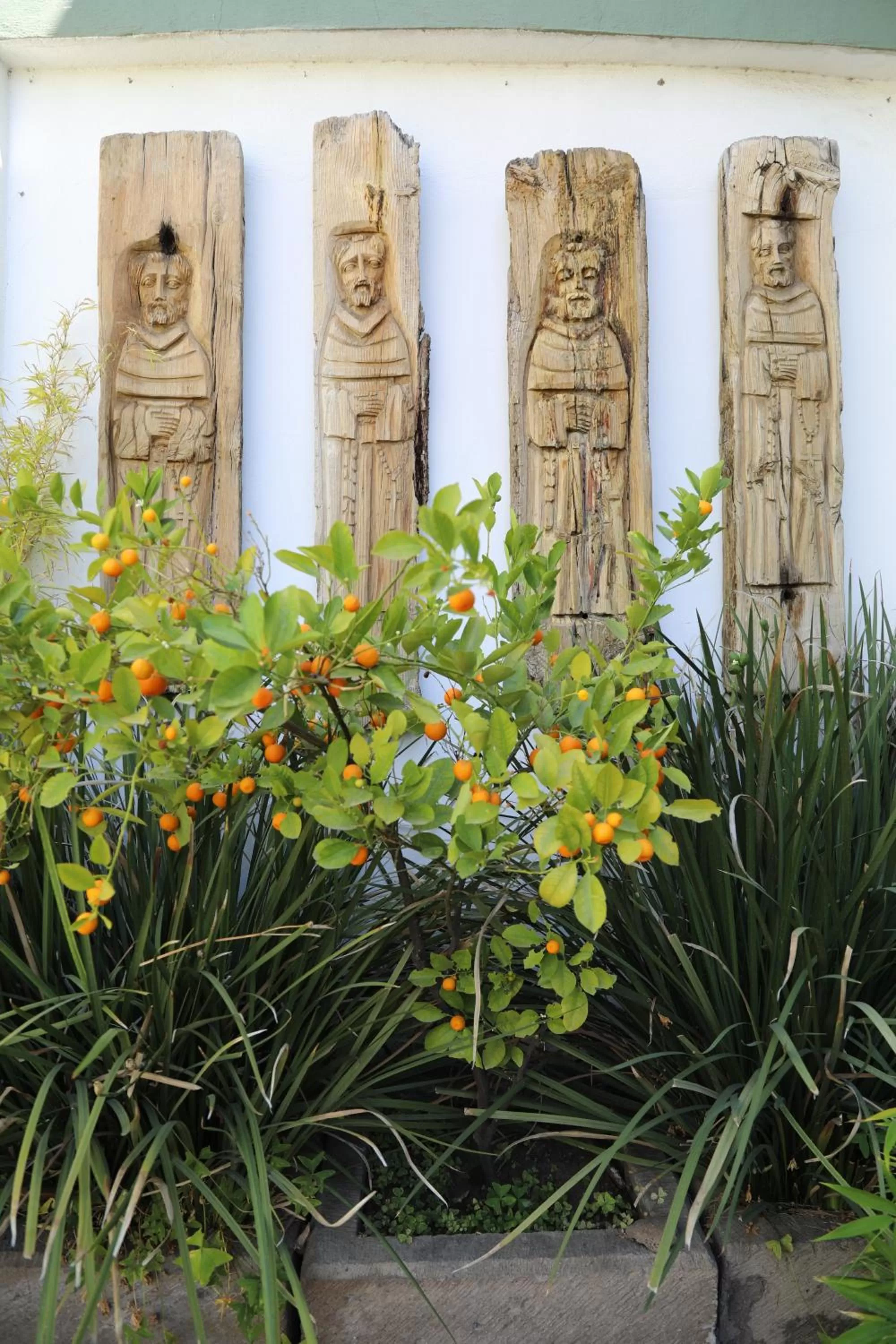 Garden in La Casa del Atrio