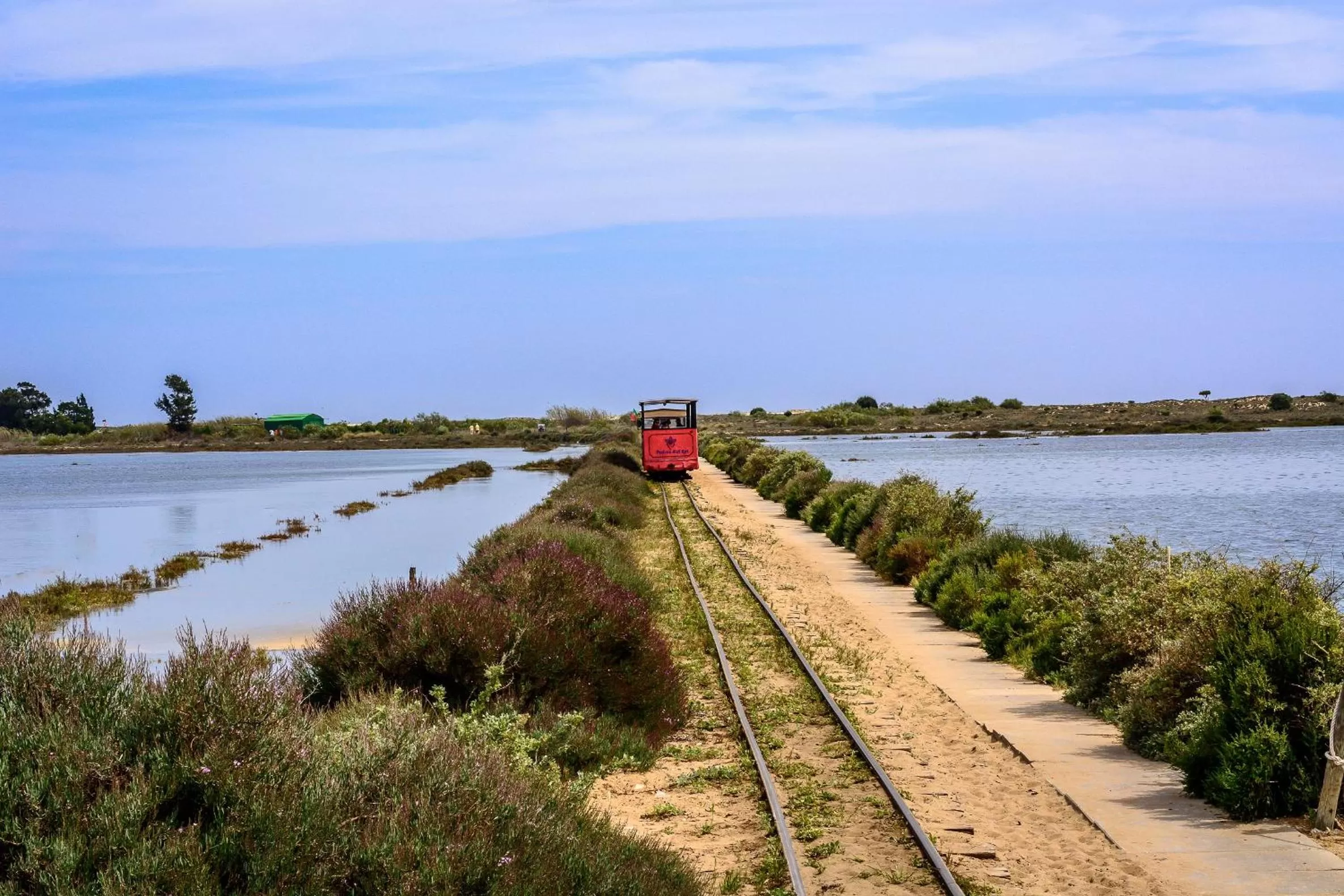 Natural landscape in Pedras D'el Rei