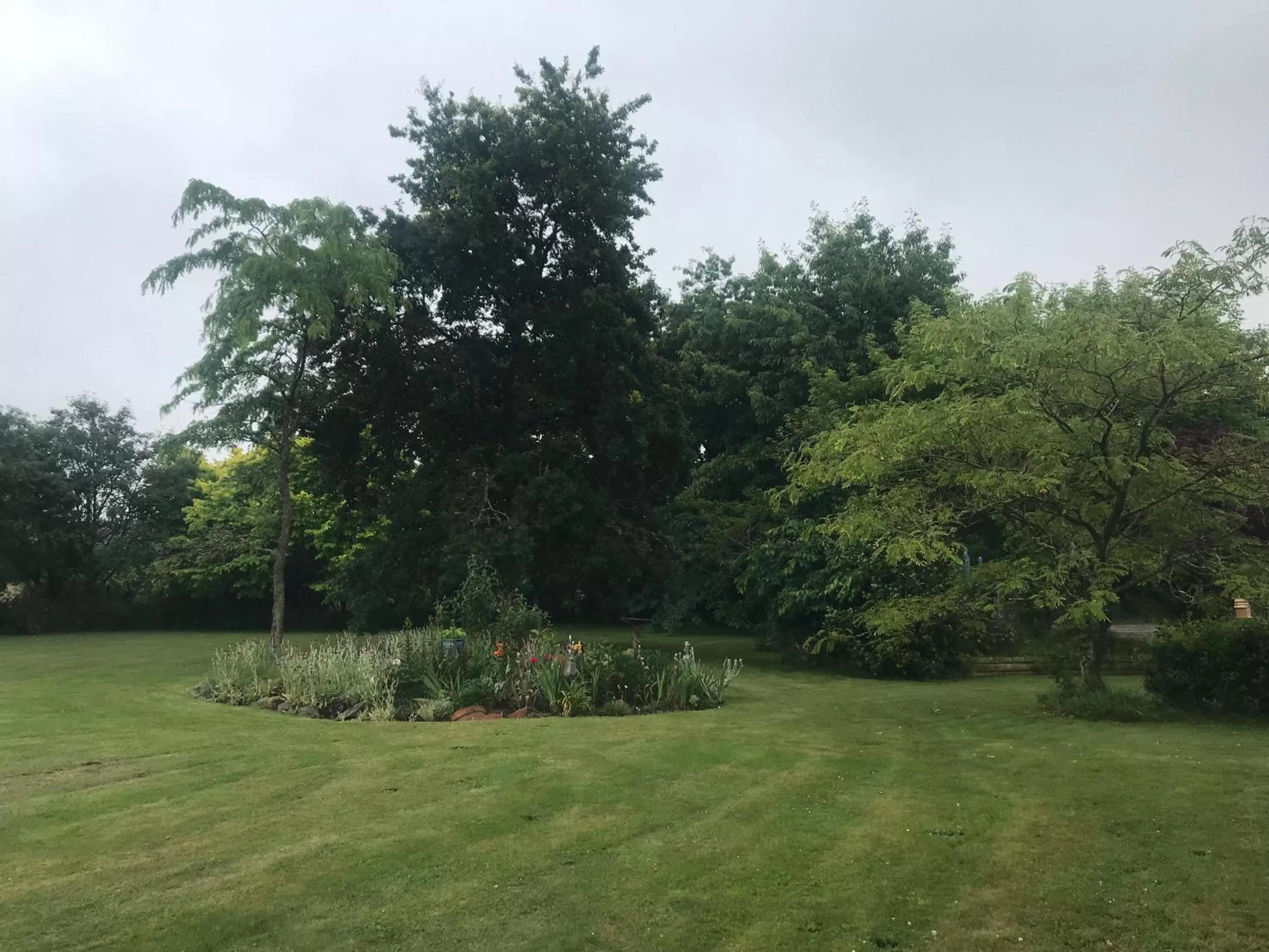 Garden view in Newlands Bed and Breakfast