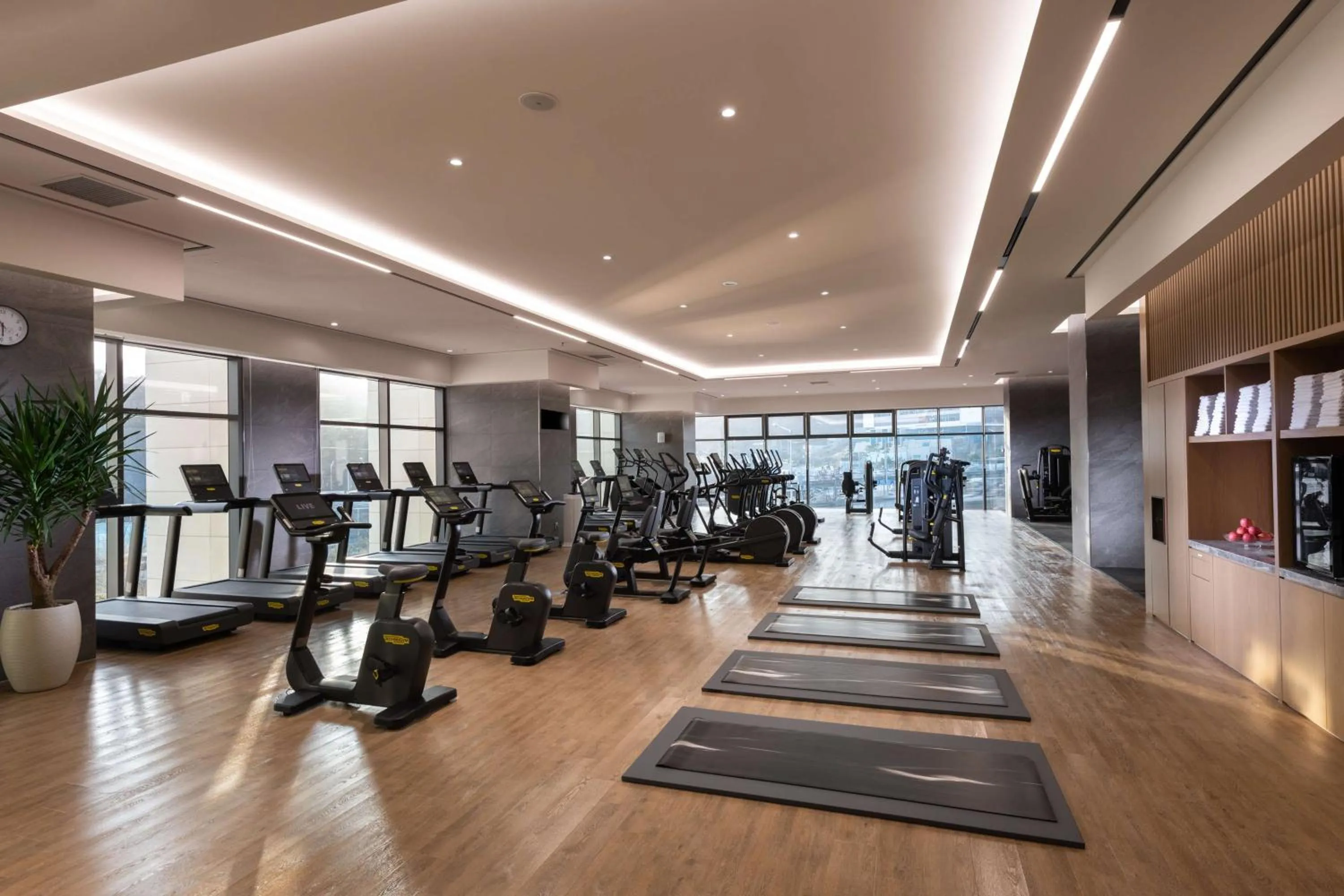 Fitness centre/facilities in DoubleTree By Hilton Seoul Pangyo Residences