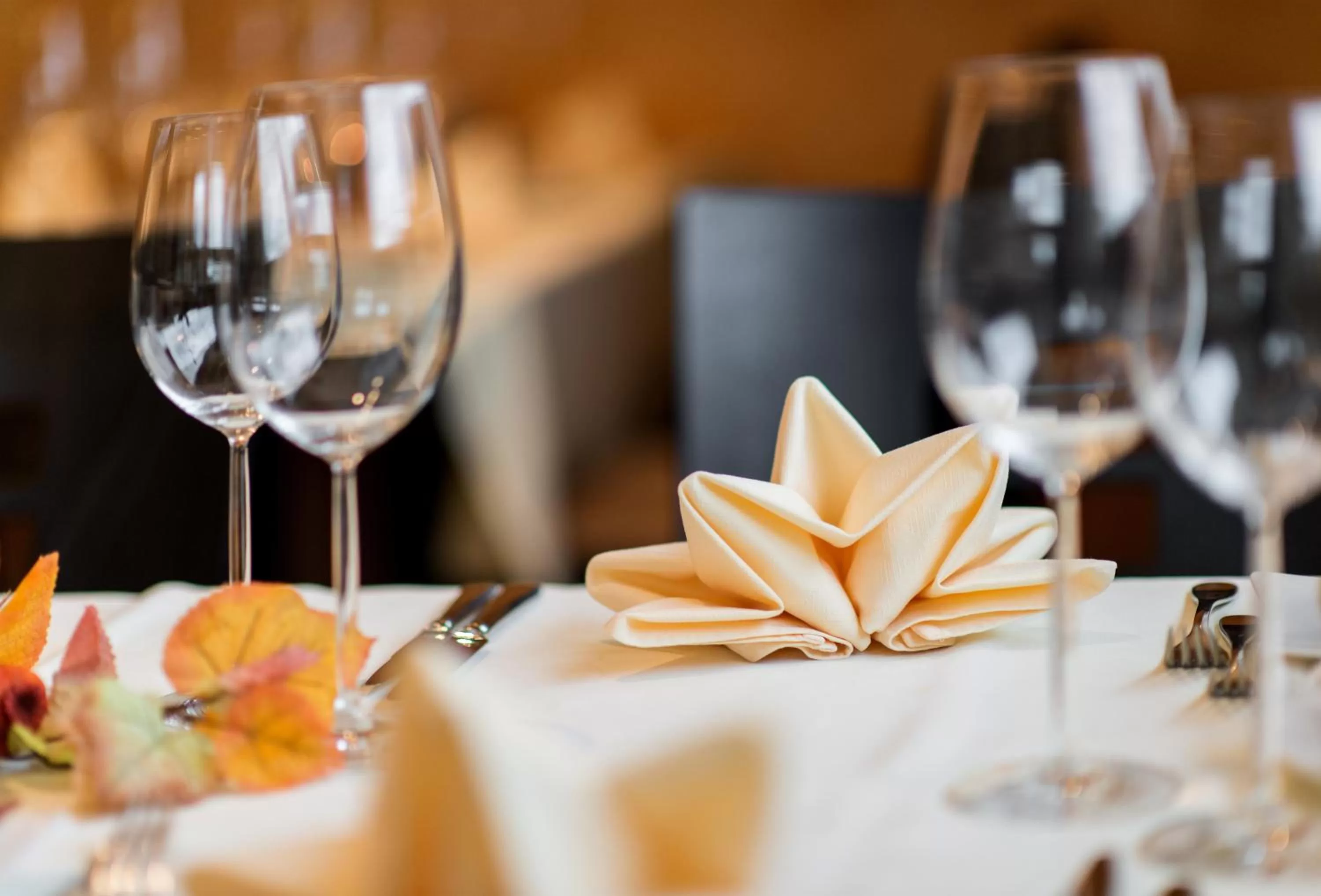 Restaurant/places to eat in Hotel Thorenberg