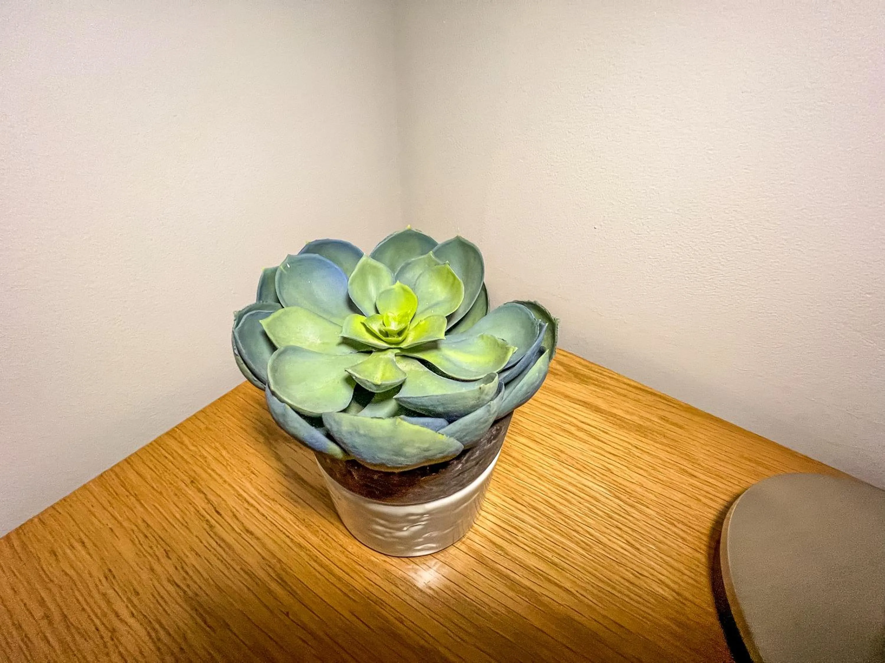 Decorative detail in County Hall Apartment Hotel