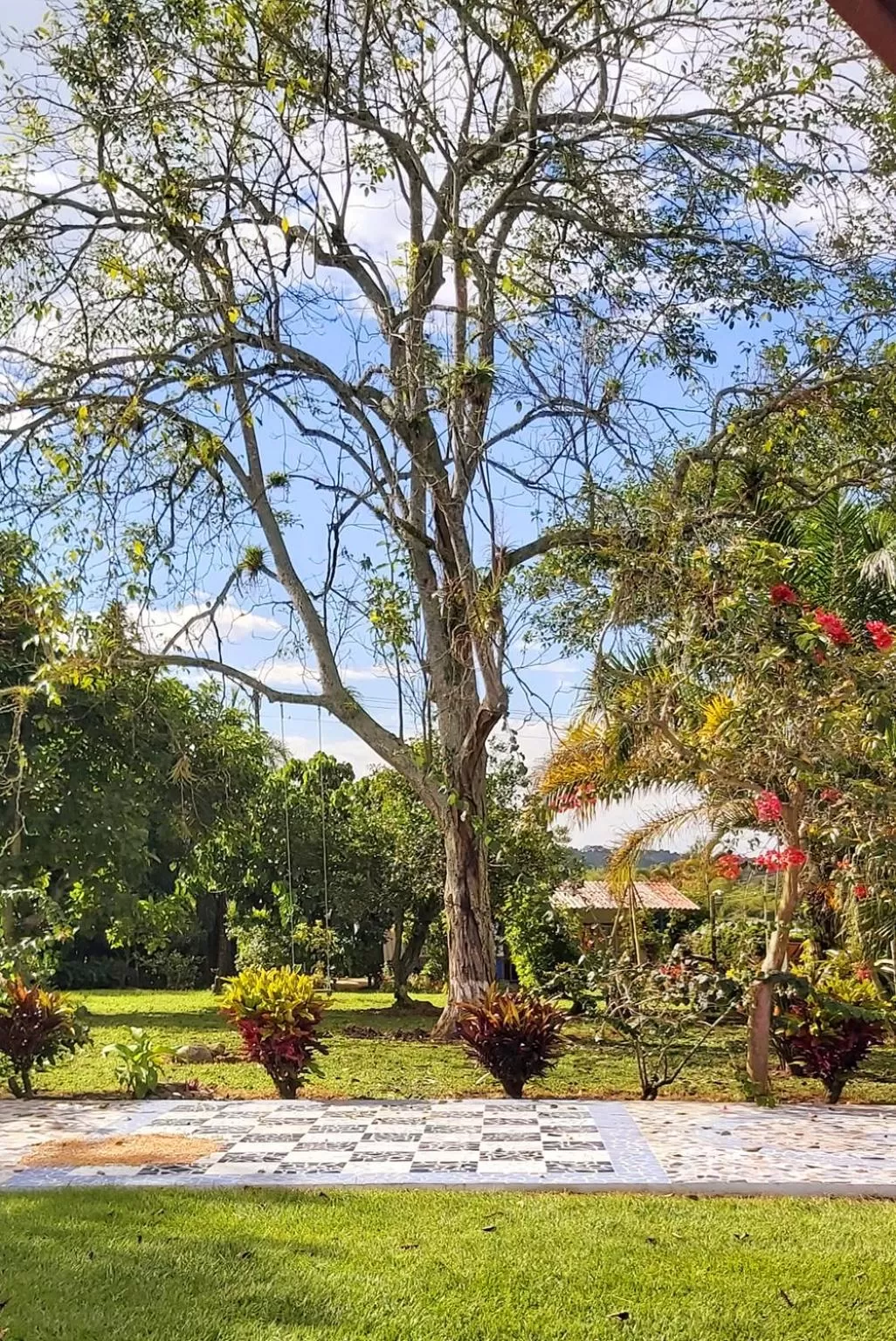 Garden in Balsora Hotel Boutique