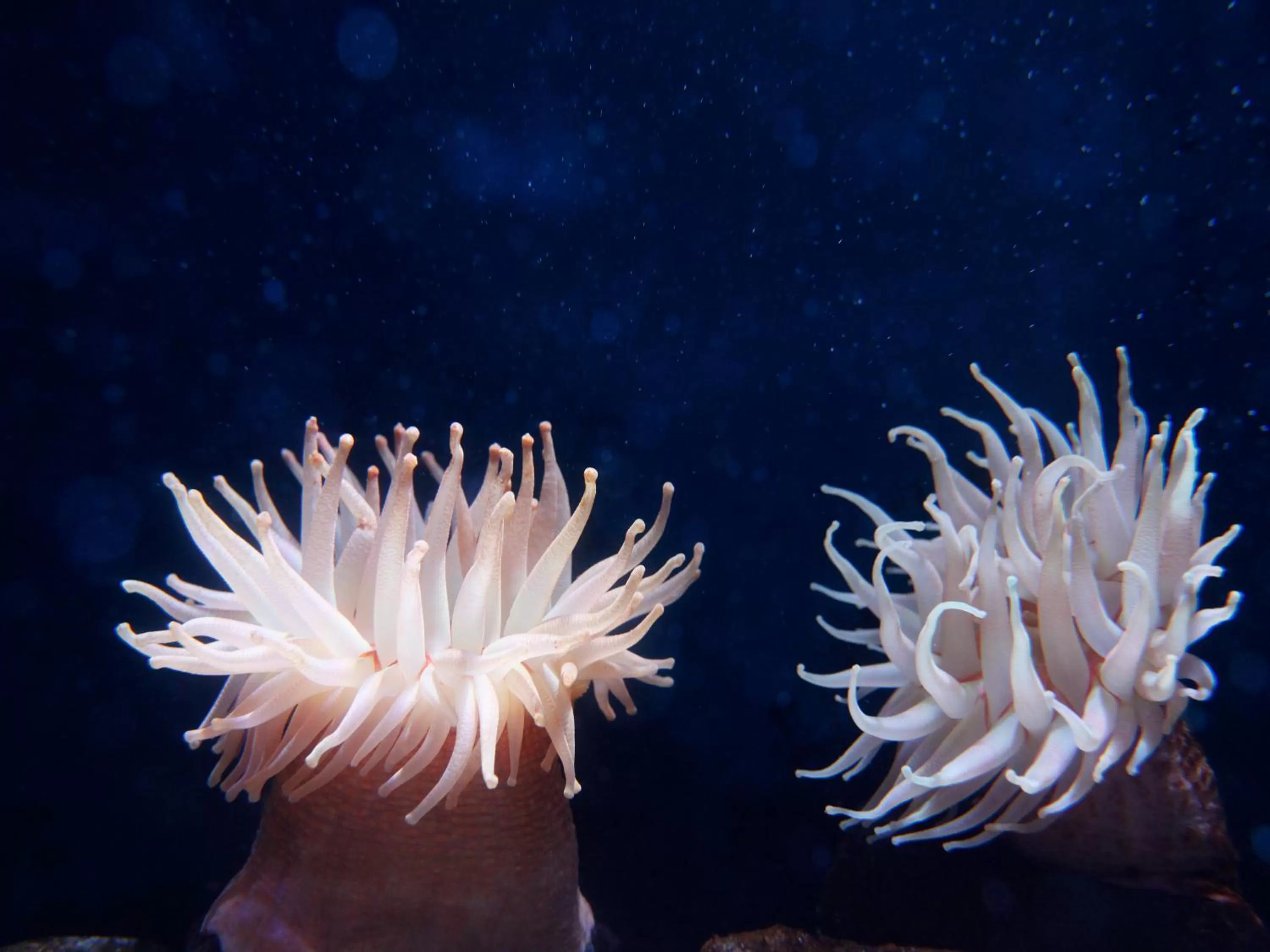 Nearby landmark in Hotel Wing International Select Osaka Umeda