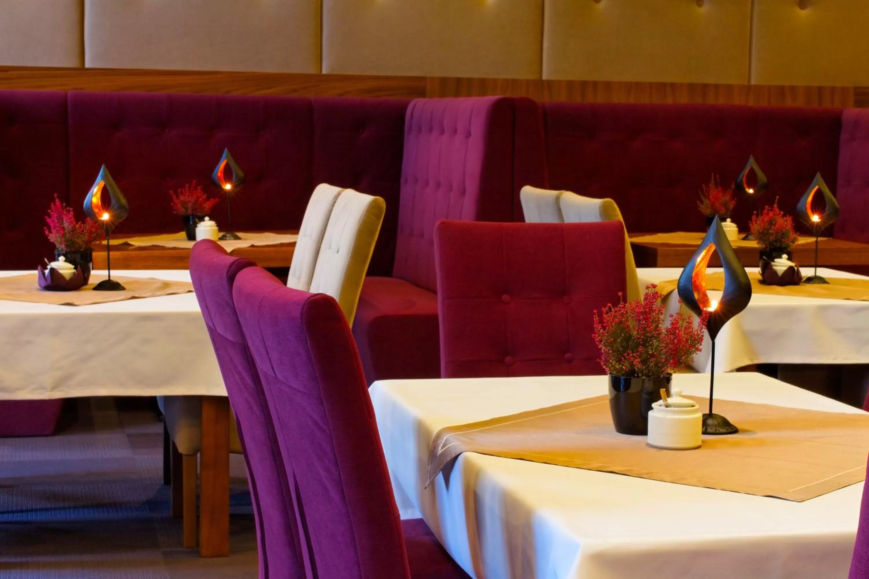 Restaurant/places to eat in Hotel Modus