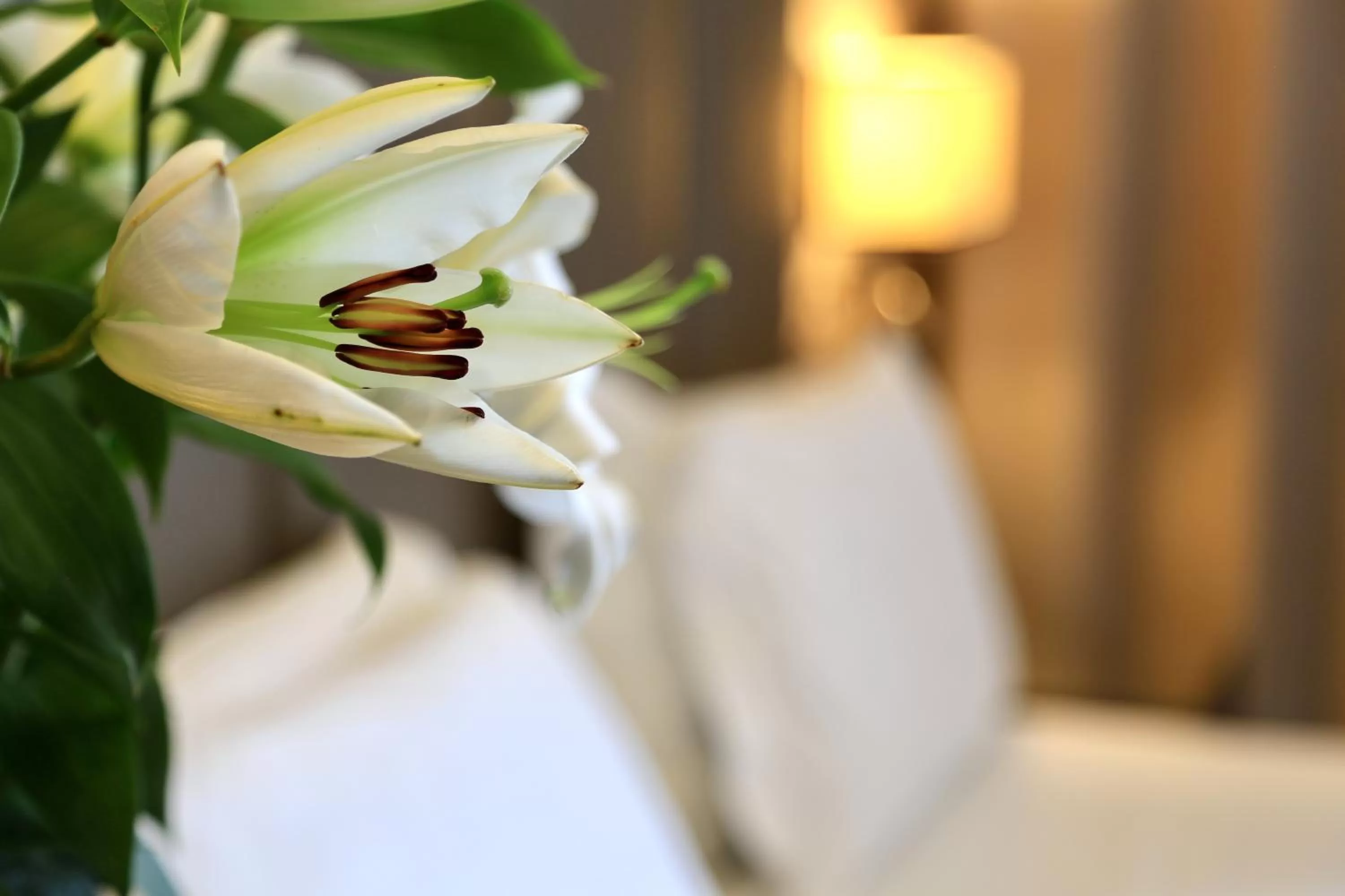 Photo of the whole room, Bed in Klima Hotel Milano Fiere