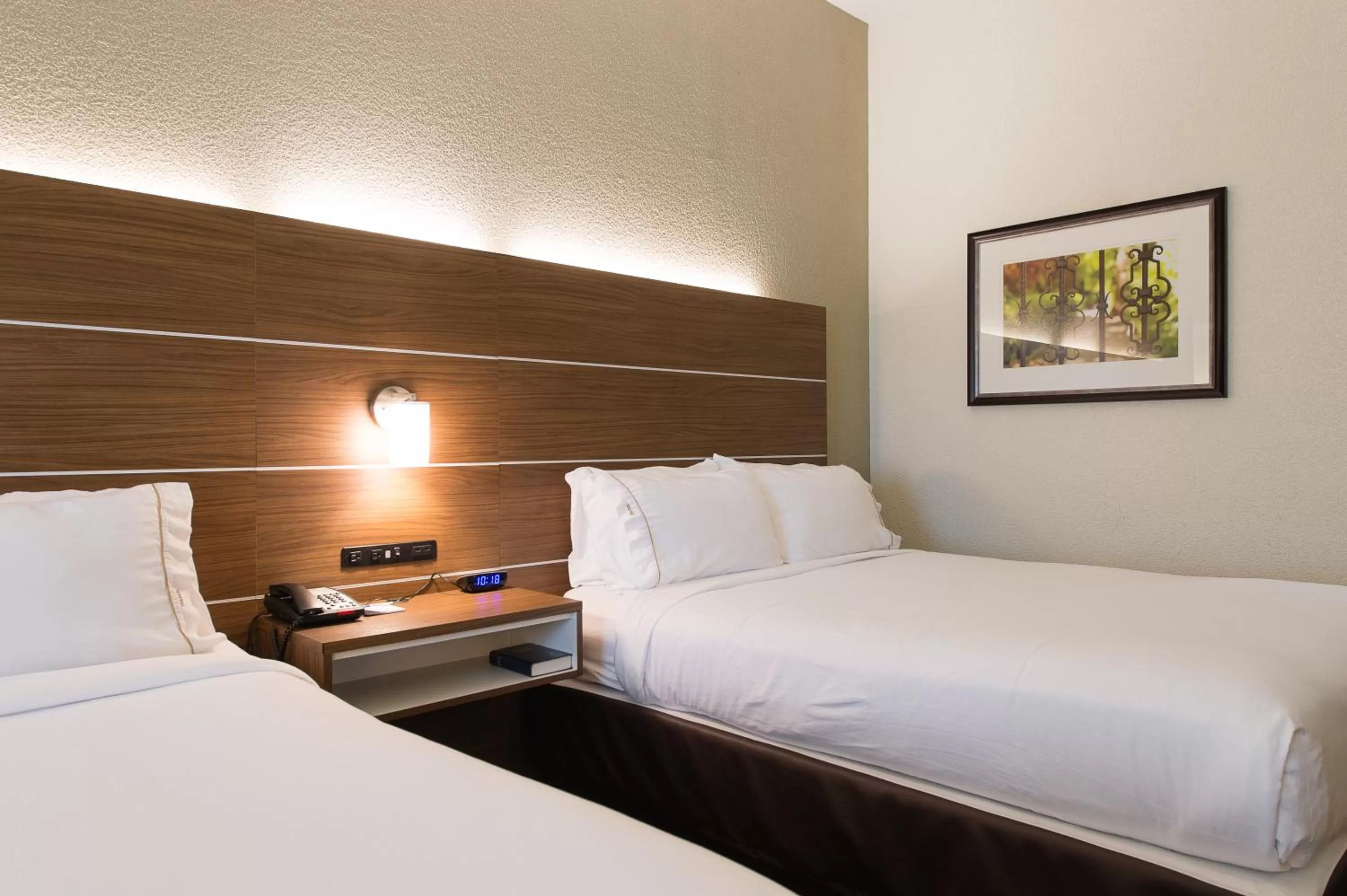 Bedroom, Bed in Holiday Inn Express & Suites Walterboro by IHG
