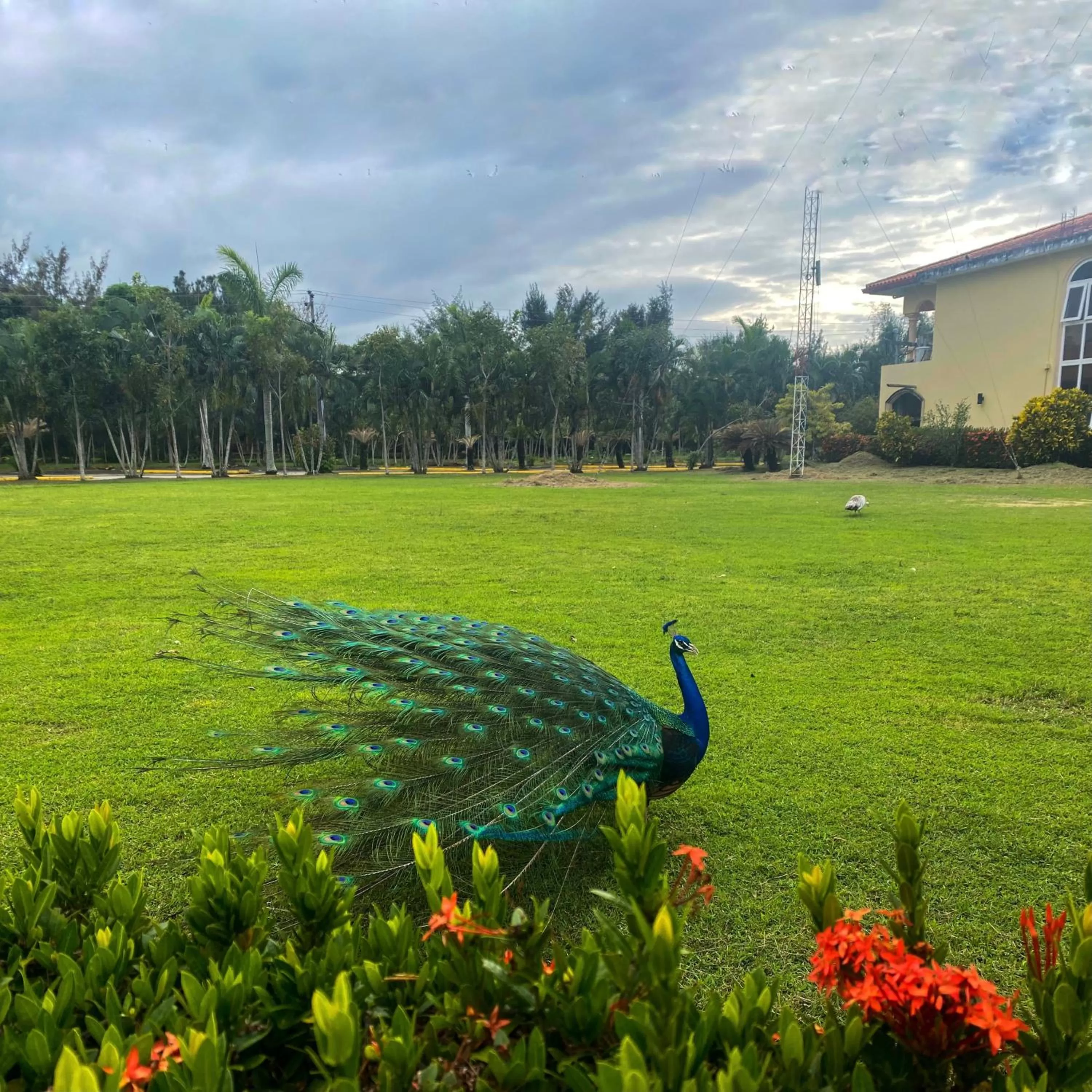 Natural landscape in La Ensenada Beach Resort