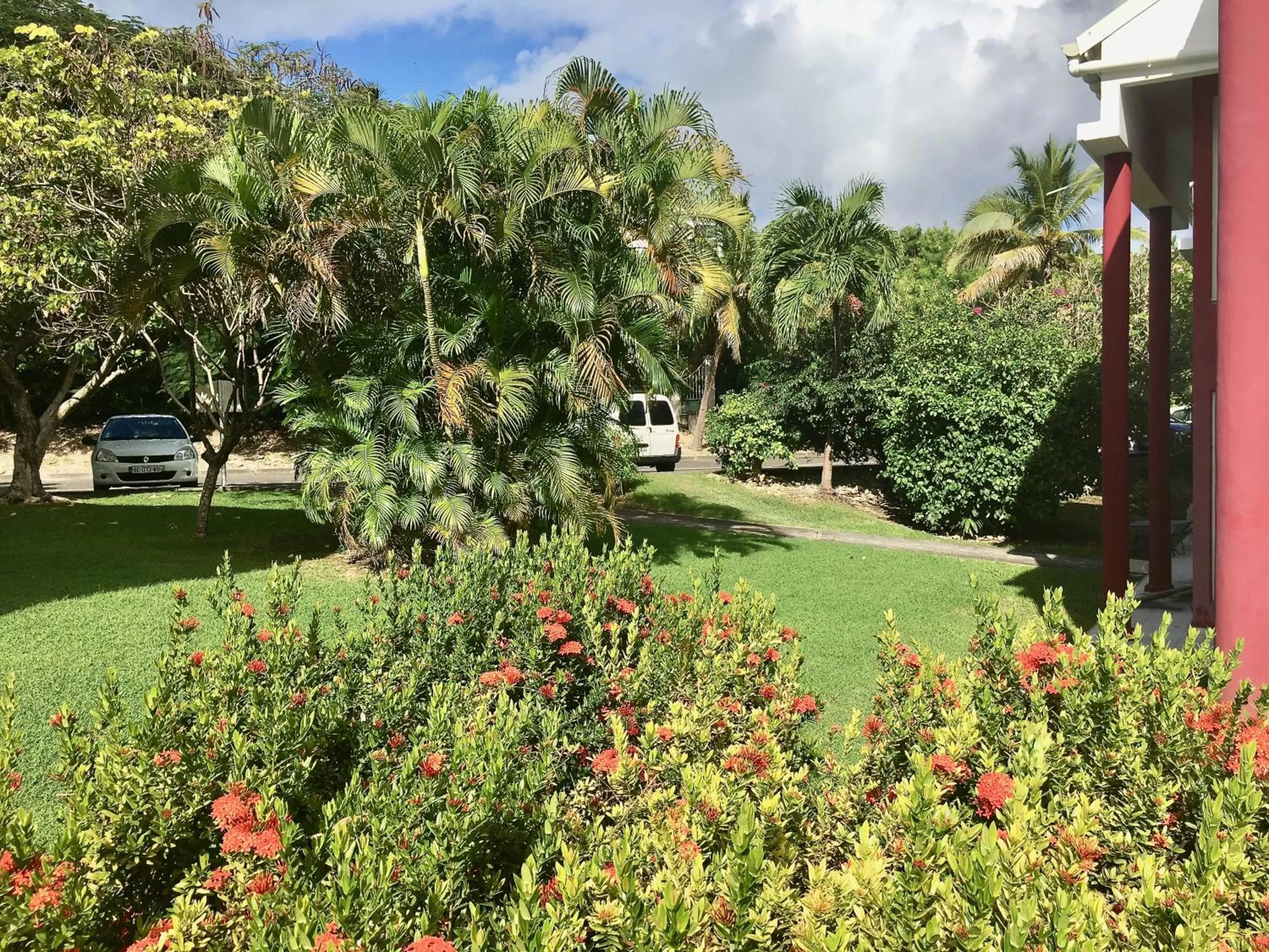 Garden in Résidence Le Vallon Guadeloupe Parc Piscine Appartements & Studios