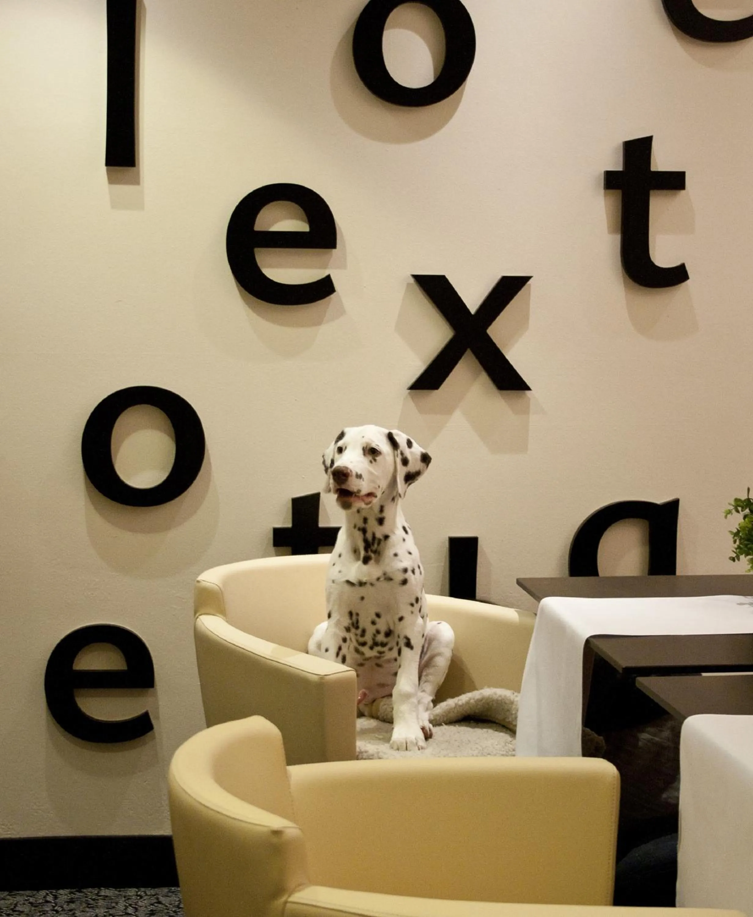 Pets in relexa hotel Stuttgarter Hof