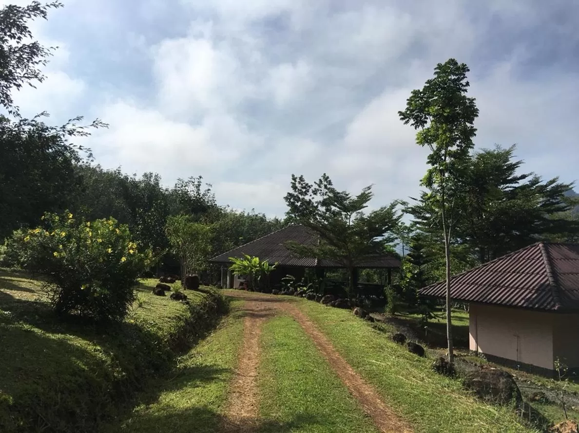 Other in Khao Sok Hill Top Resort