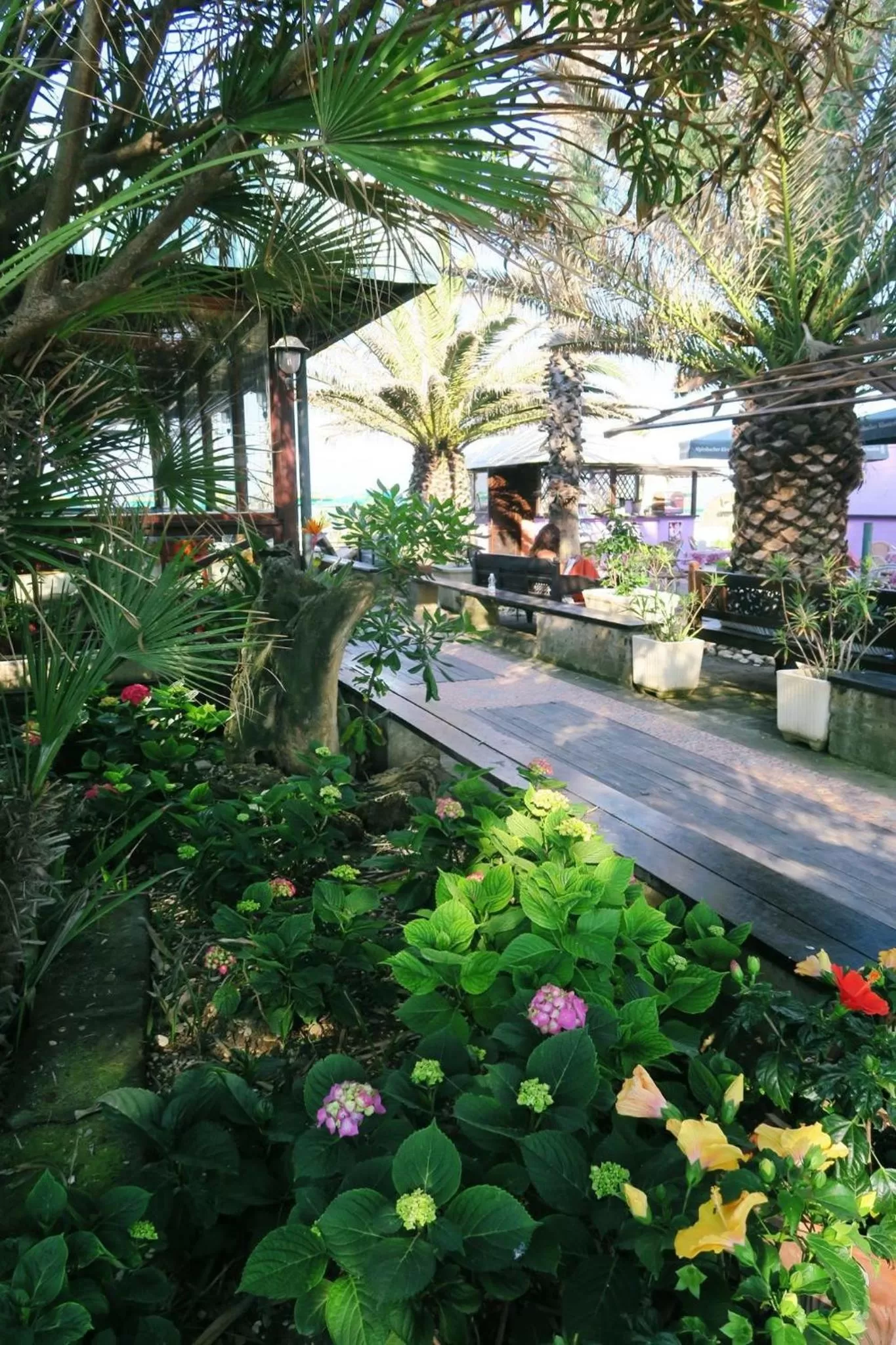 Beach in La casa di nonno Giulio