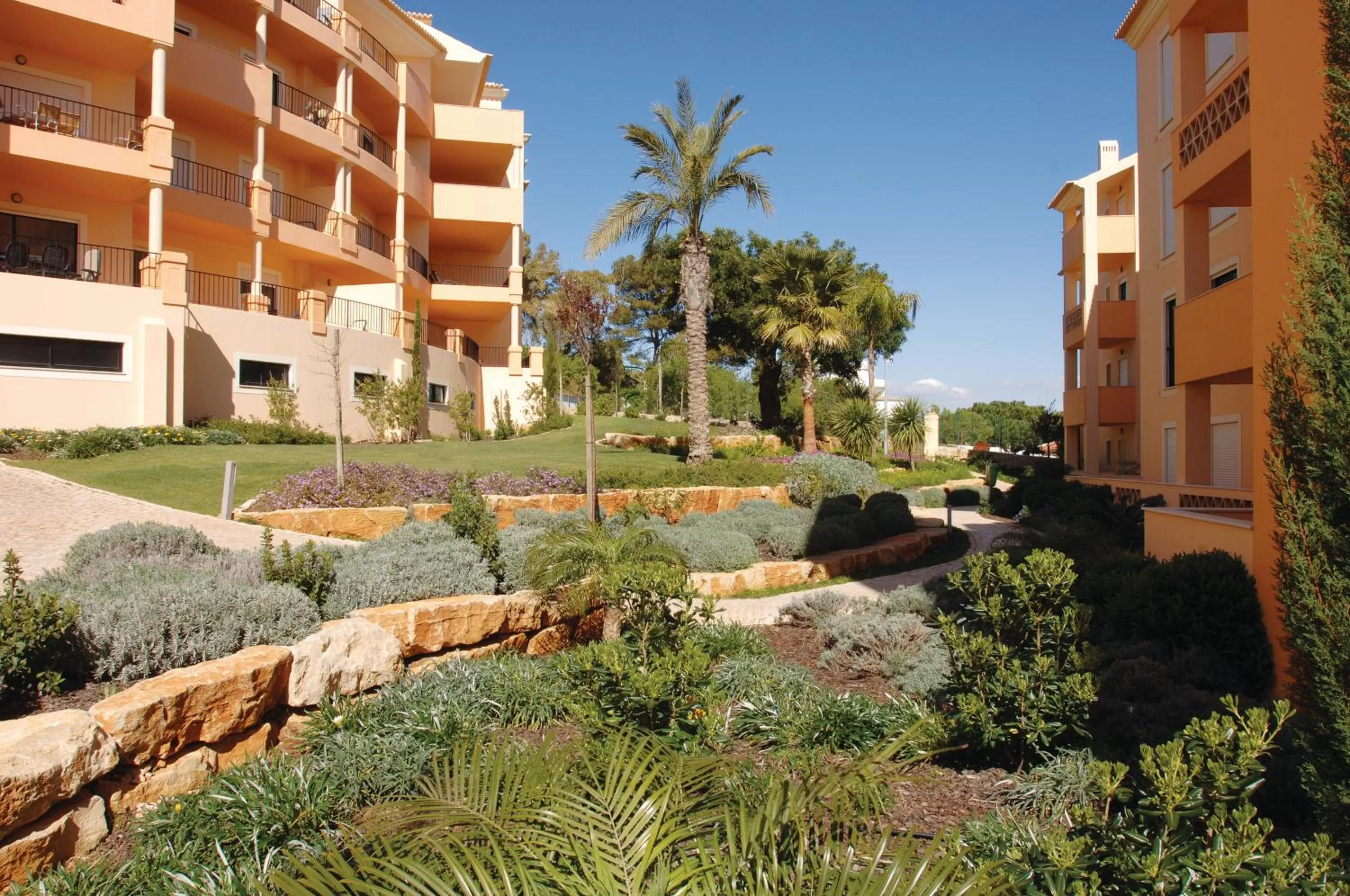 View (from property/room) in Estrela da Luz Resort