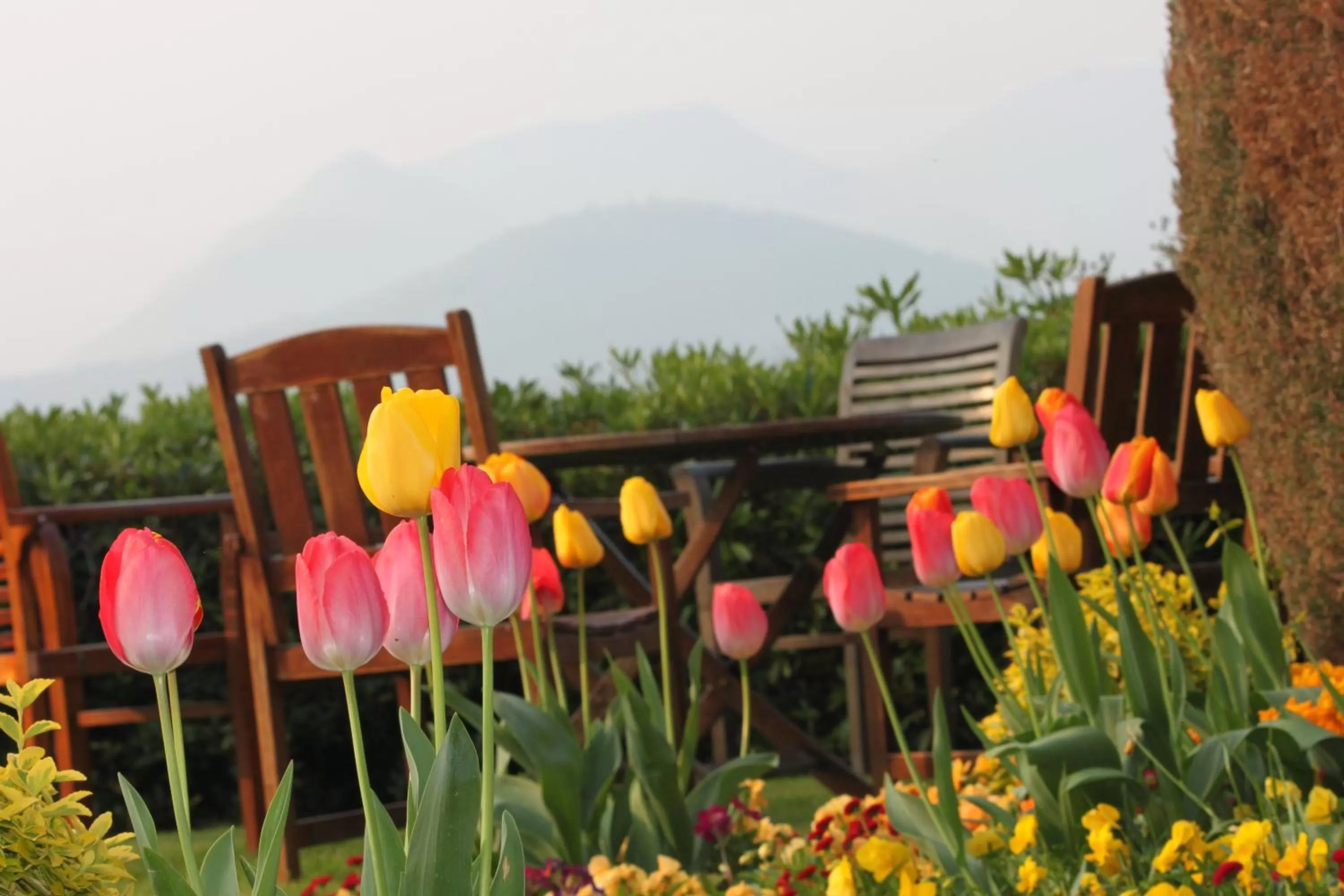 Spring in Lyzzick Hall Hotel