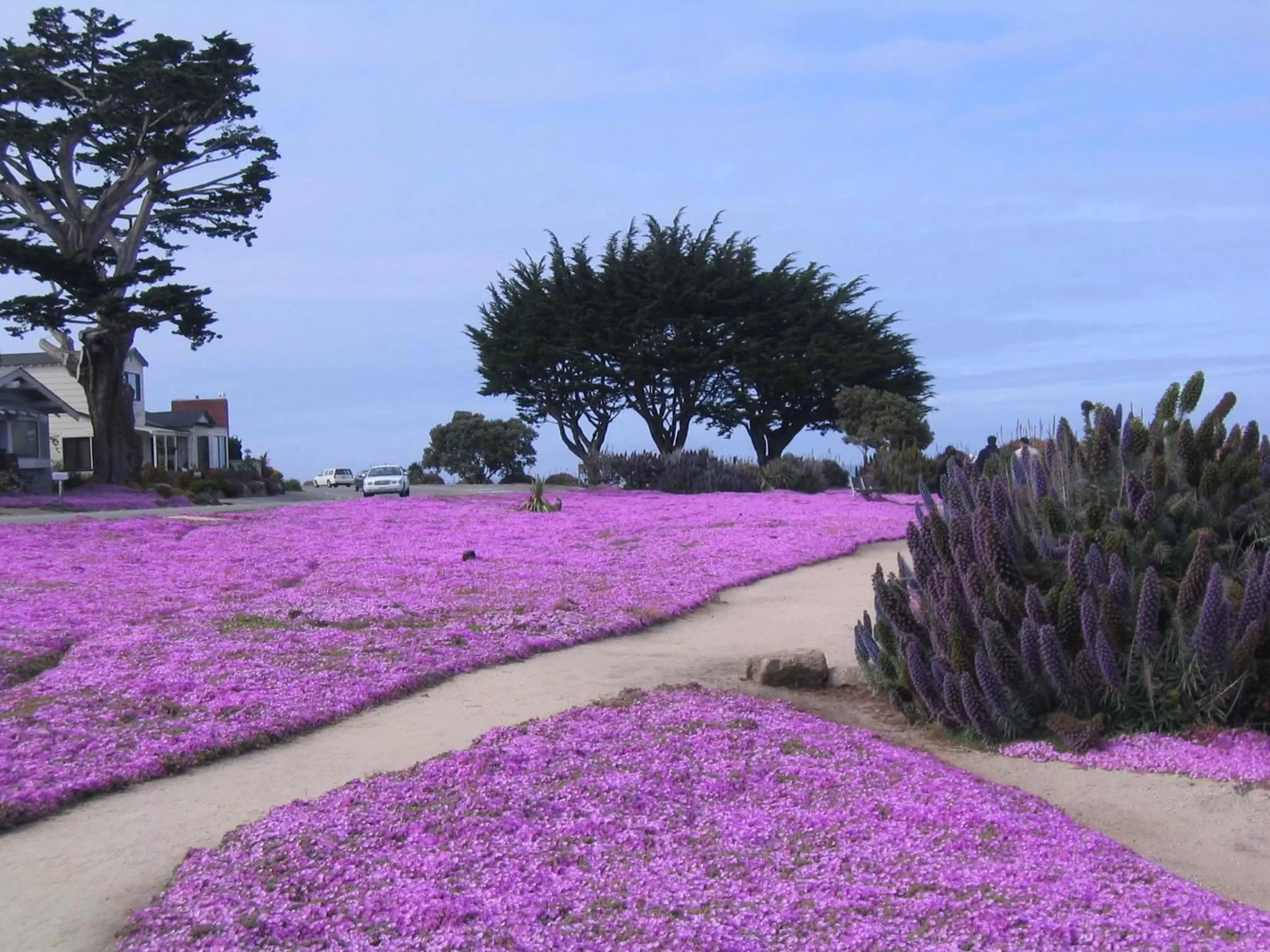 Activities in Aura Inn Monterey