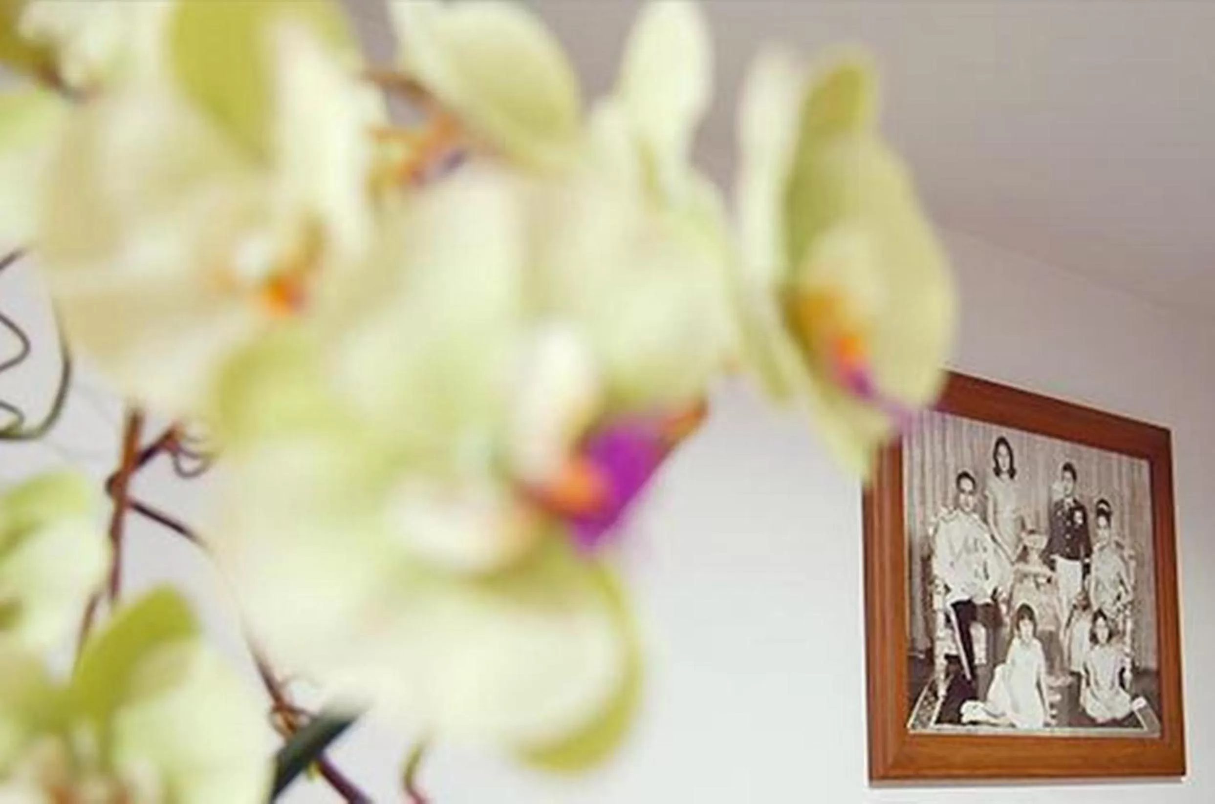 Photo of the whole room in Roof View Place