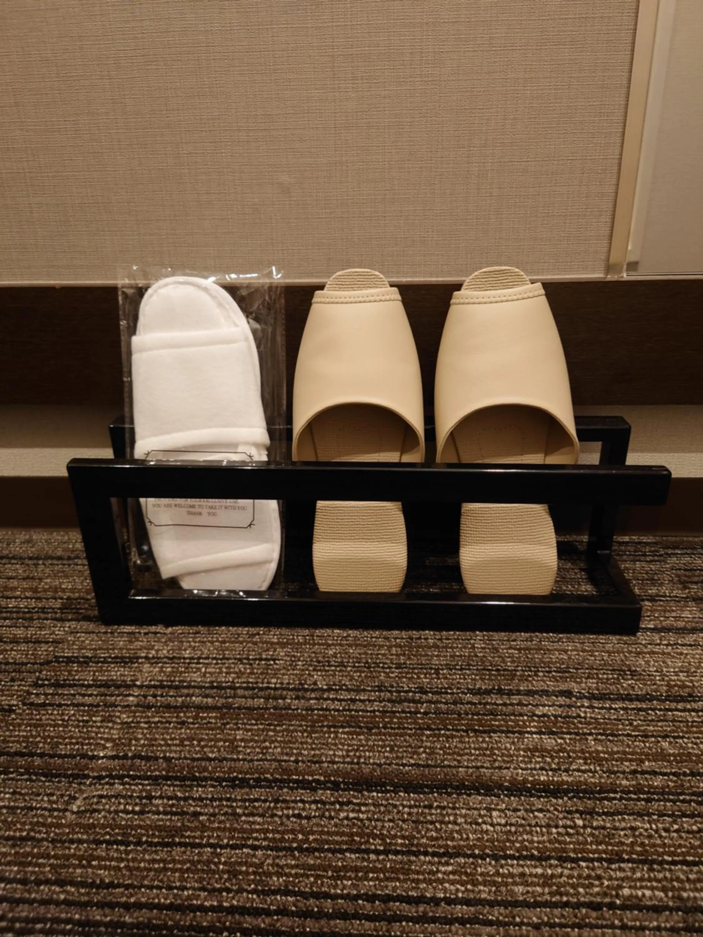 Photo of the whole room in Ochanomizu Inn