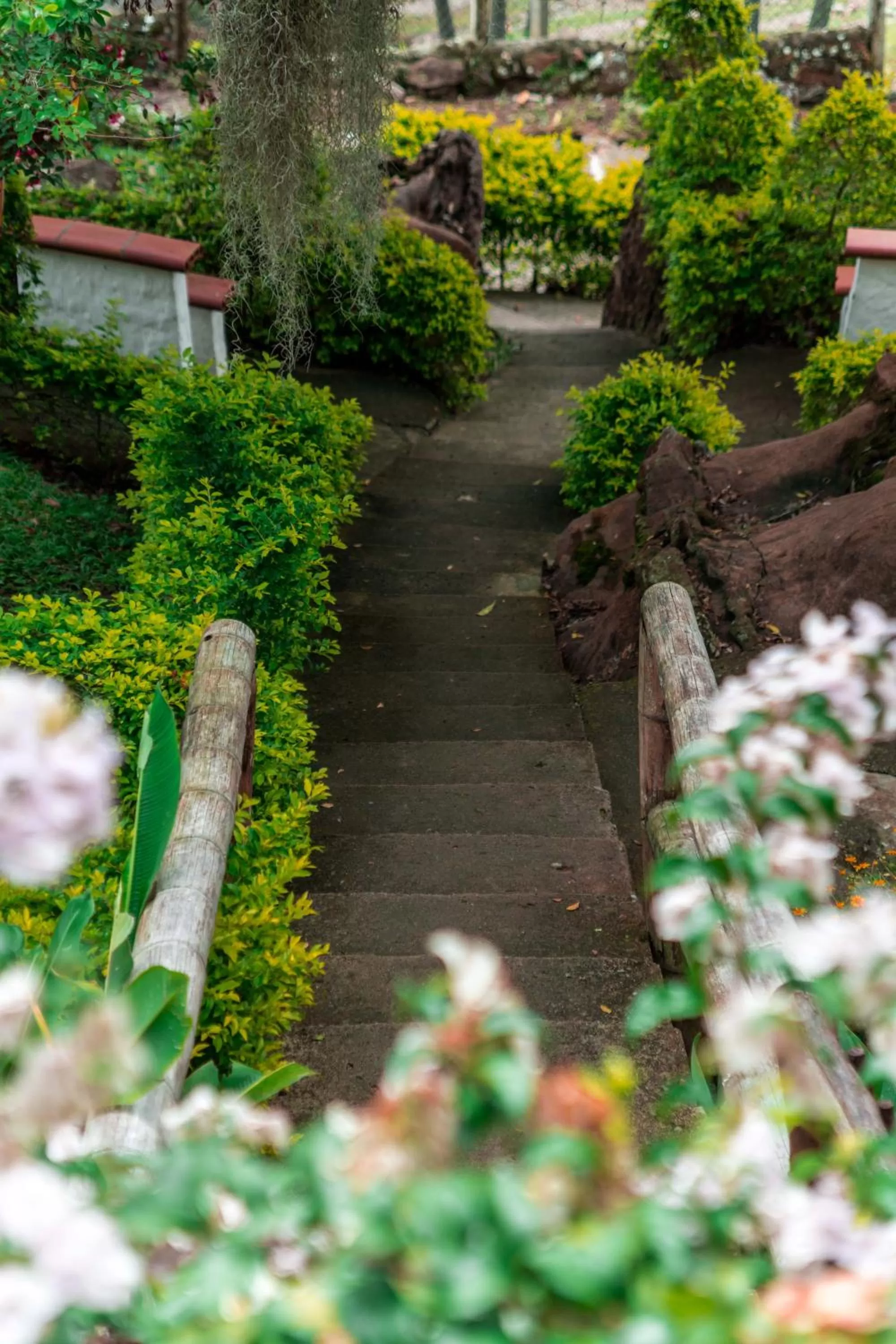 Garden in Hotel Terrazas de la Candelaria