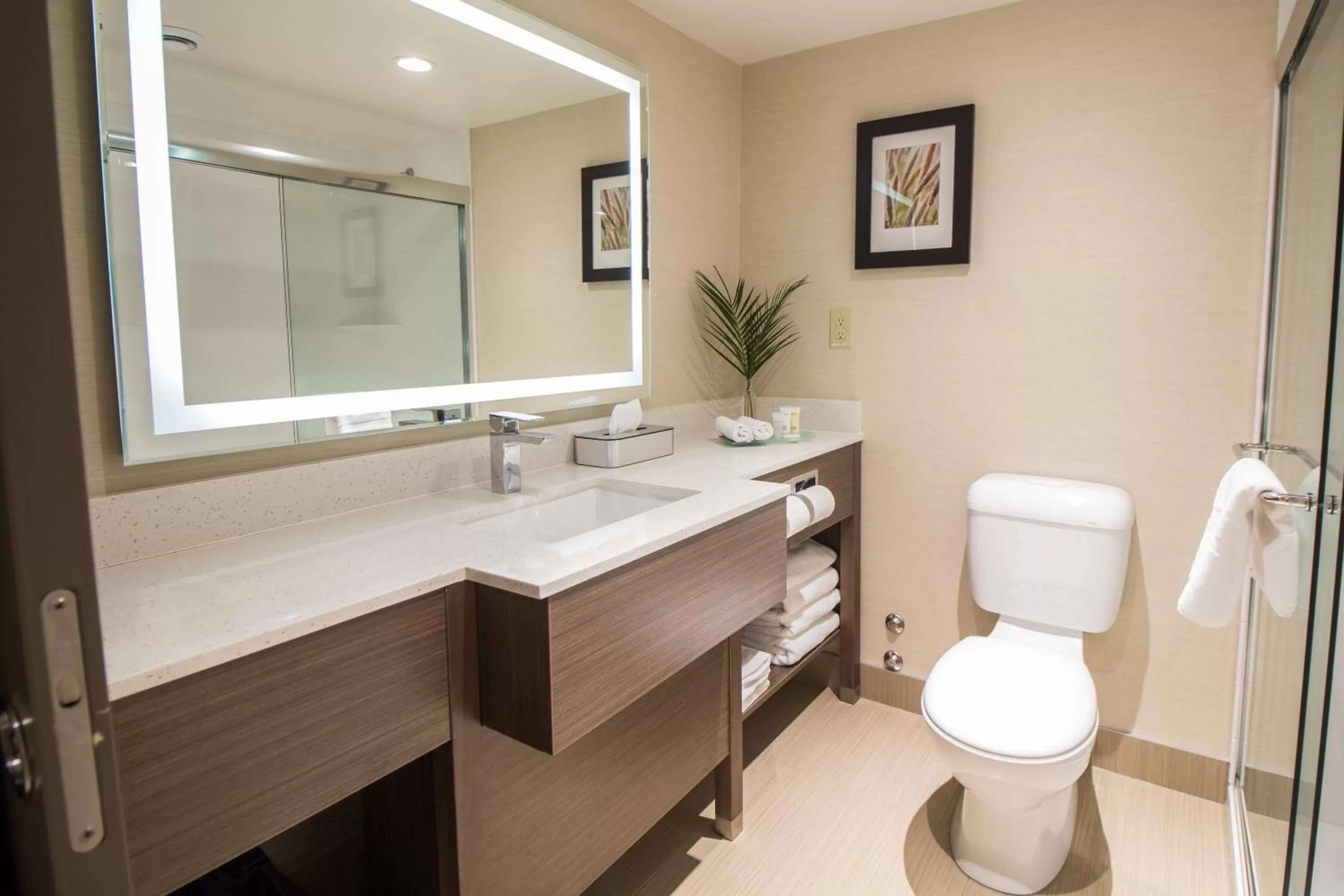 Shower in Victoria Inn Hotel and Convention Center Winnipeg