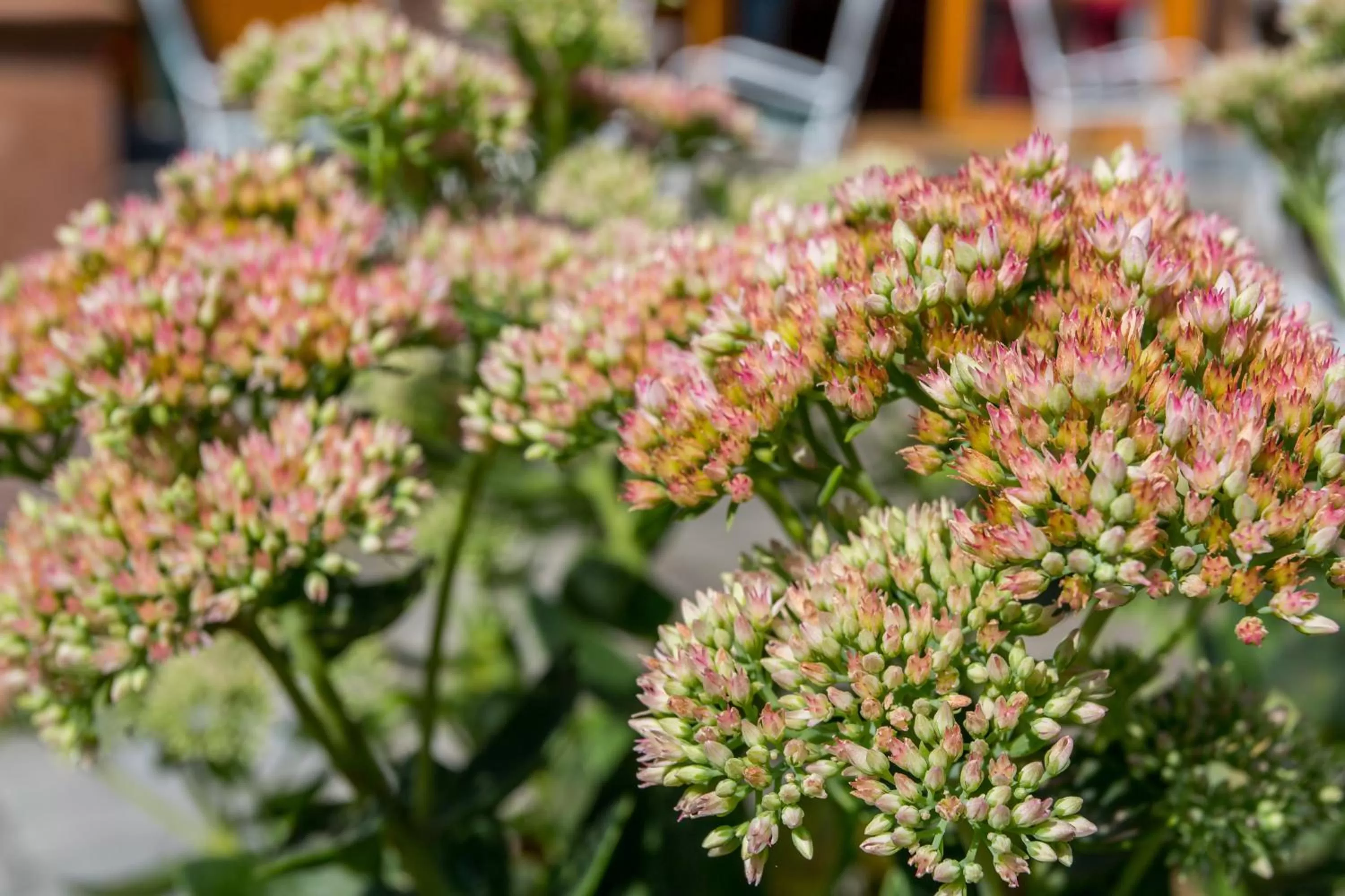 Day in Corvin Hotel Budapest Sissi Wing