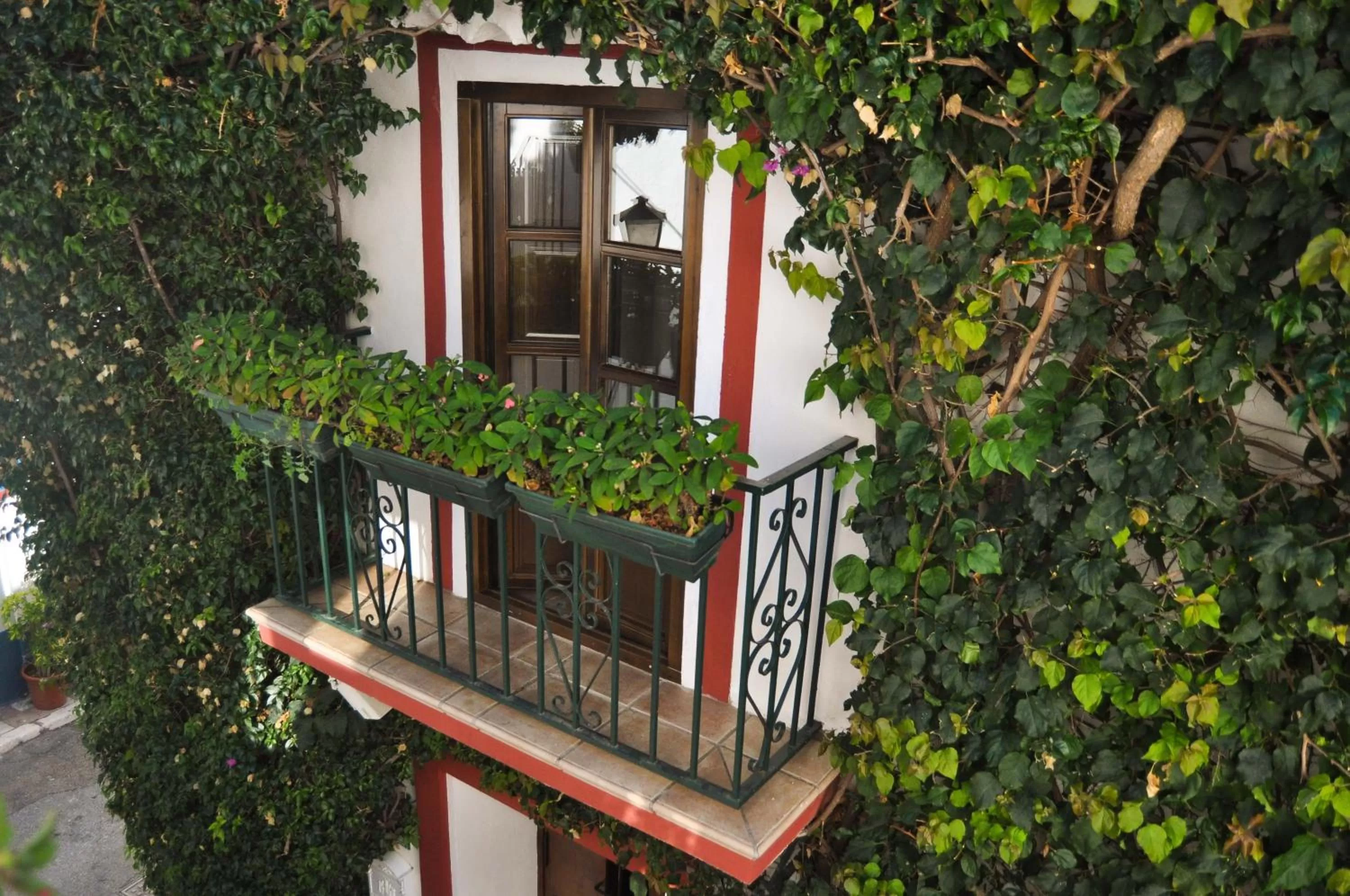 Balcony/Terrace in La Villa Marbella - Old Town