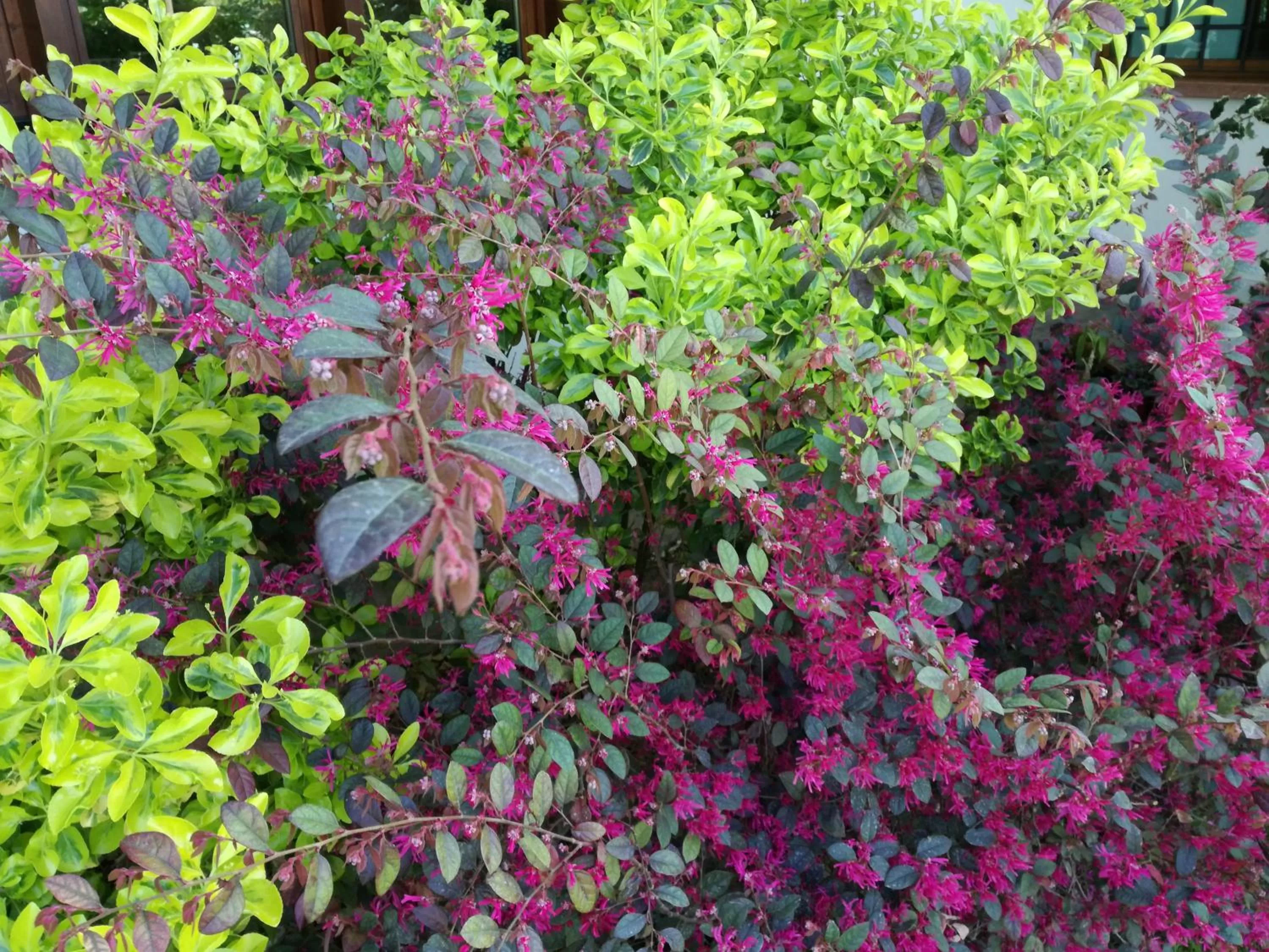 Garden in 3 Tesori B&B