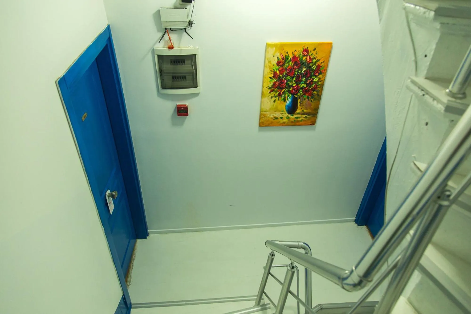 Area and facilities in The House of Tulpan