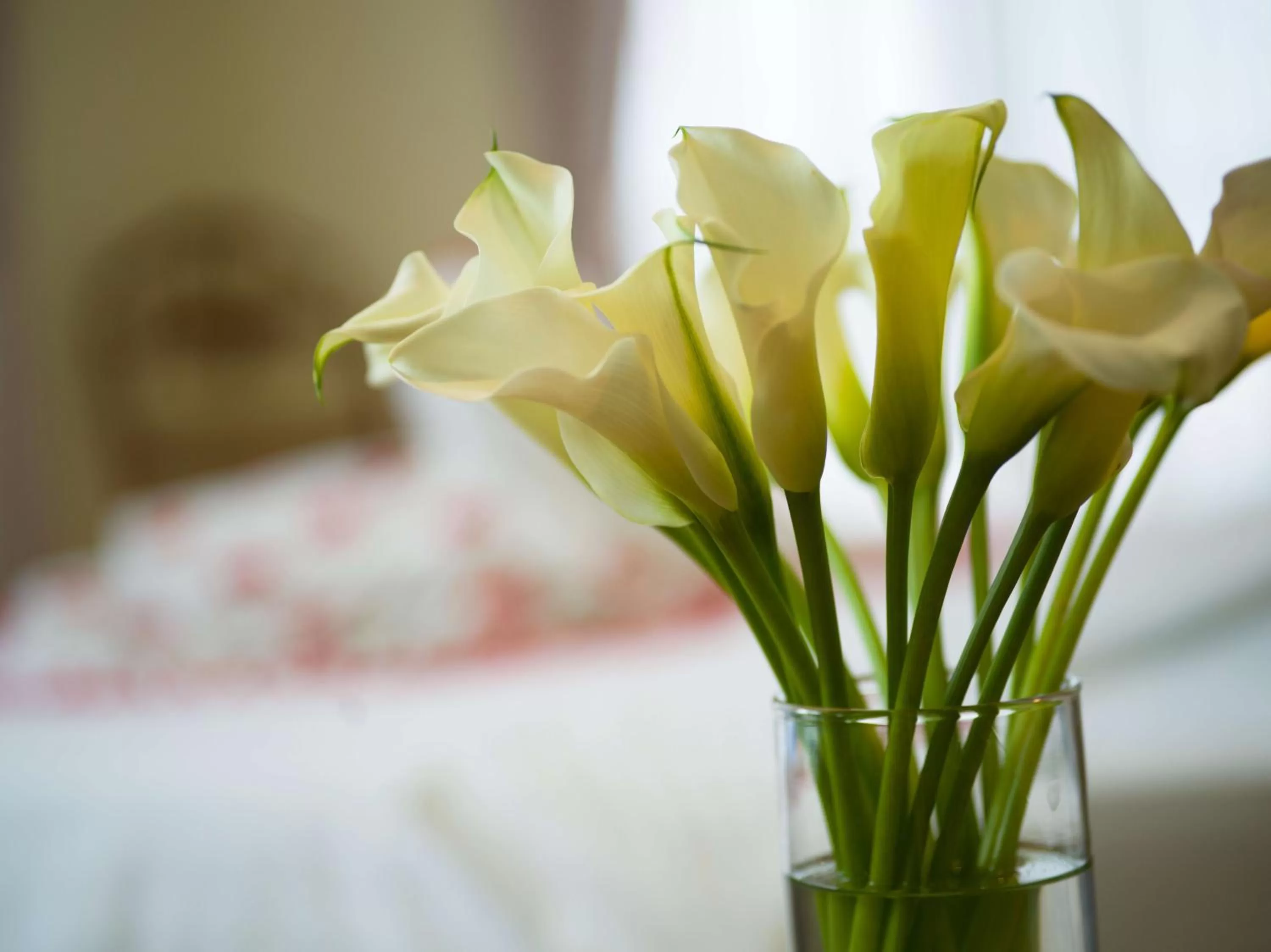 Bed in MerPerle Crystal Palace