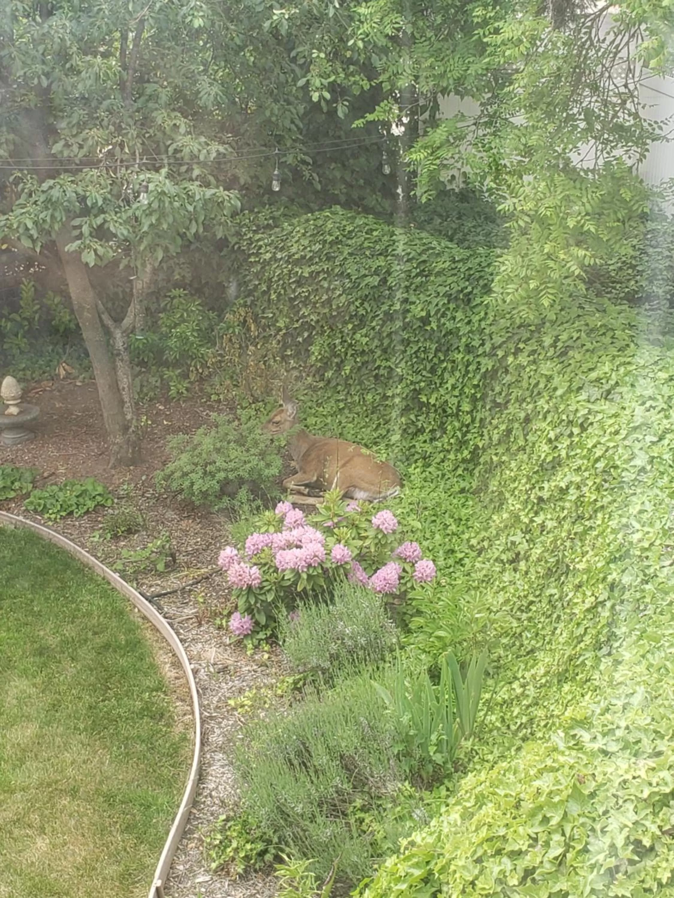 View (from property/room) in Bayberry Inn B&B and Oregon Wellness Retreat