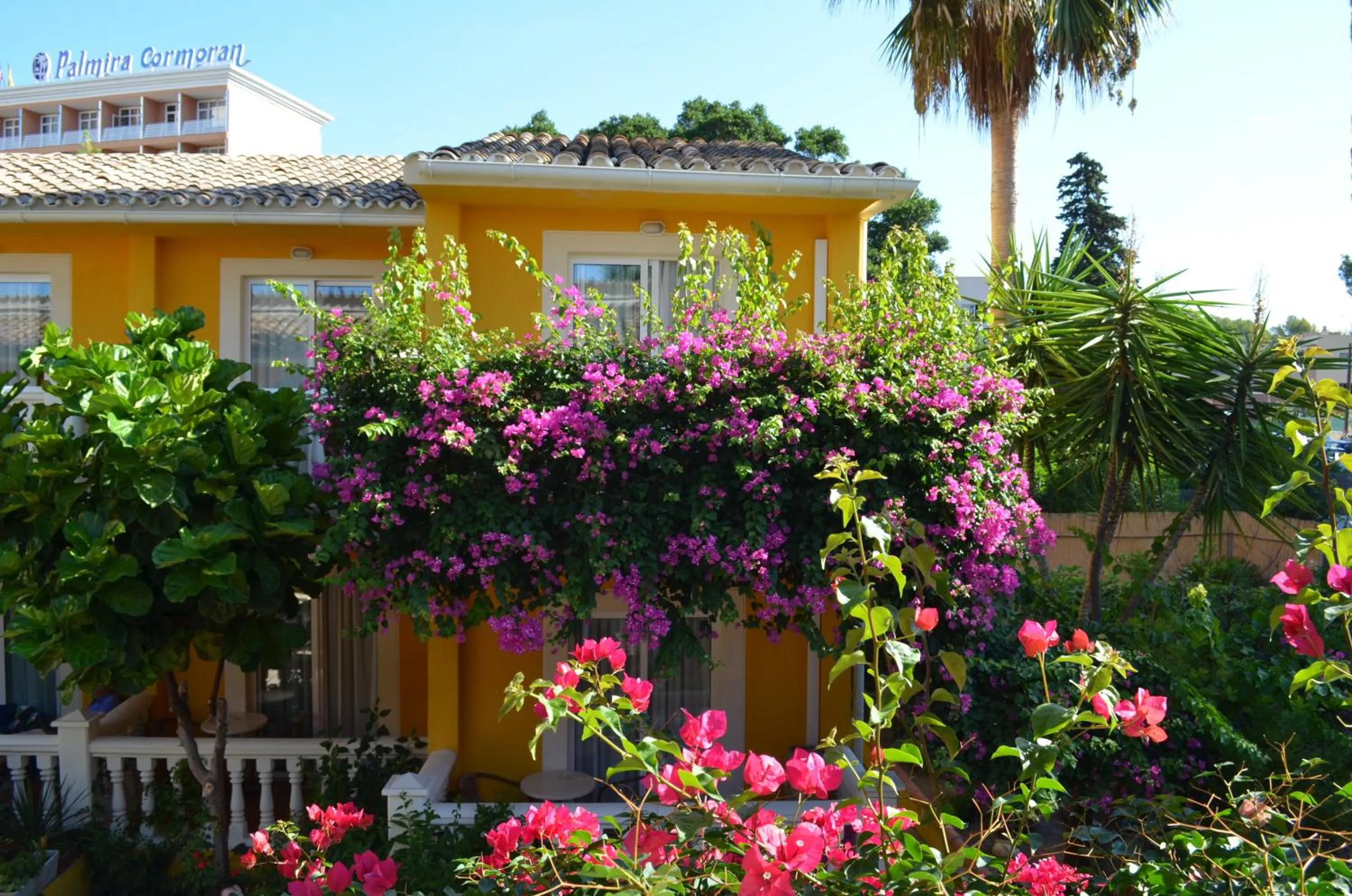 Spring in Hotel Cupidor