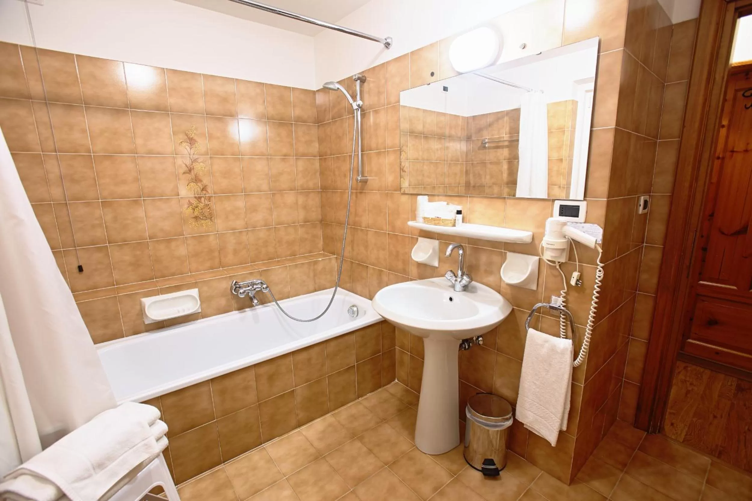 Toilet in Hotel Des Alpes