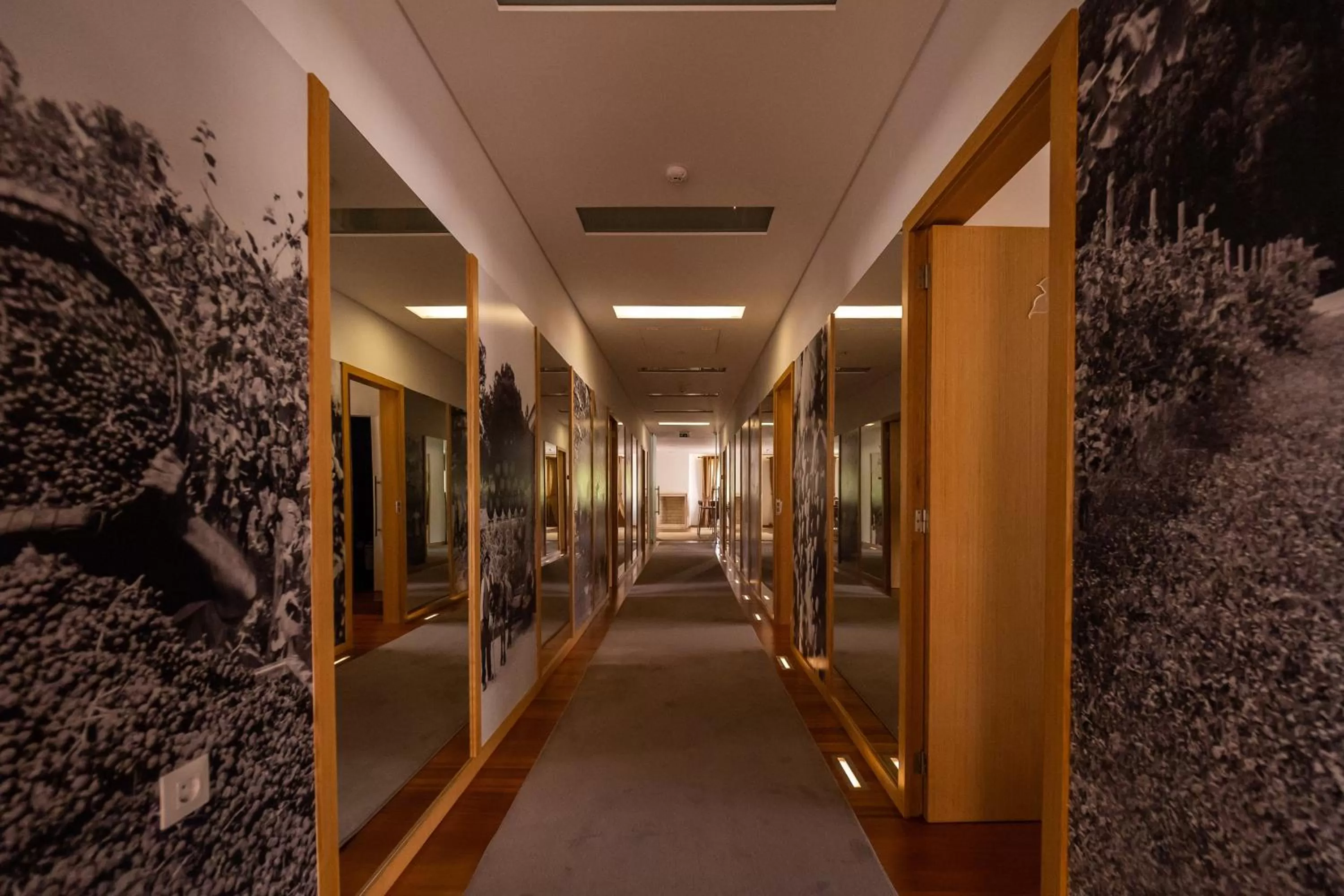 Property building in FH Hotel Rural