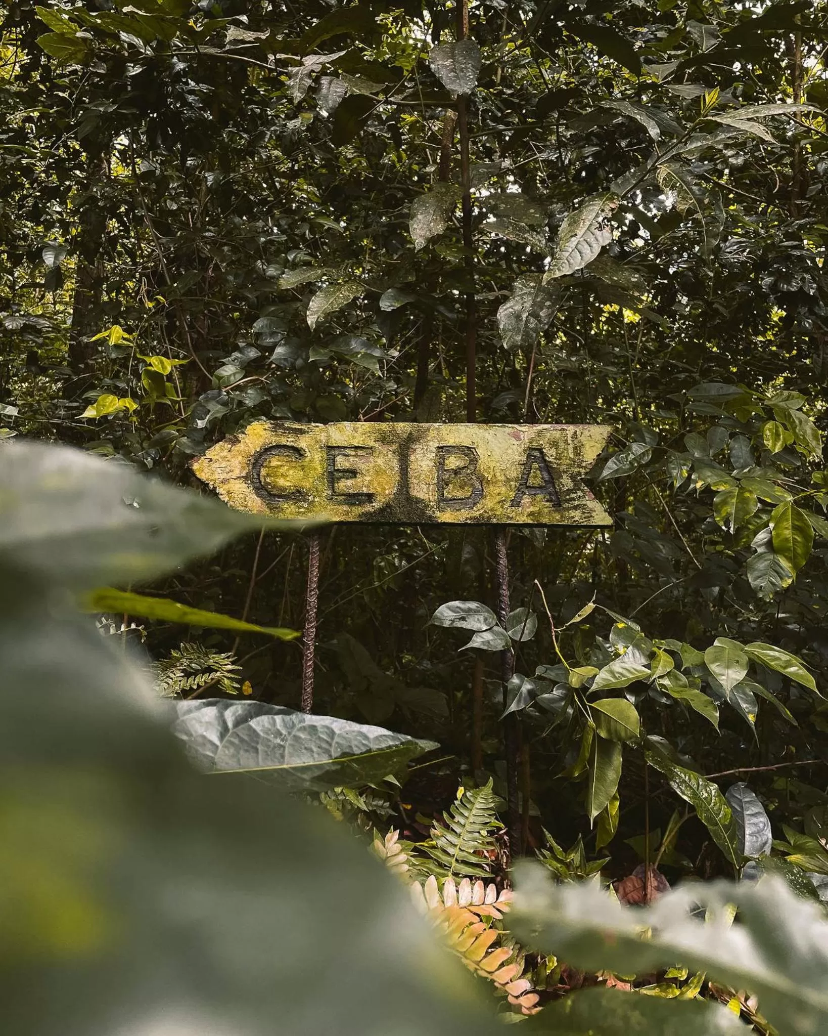 Natural landscape in Casa Grande Mountain Retreat - Adults Only