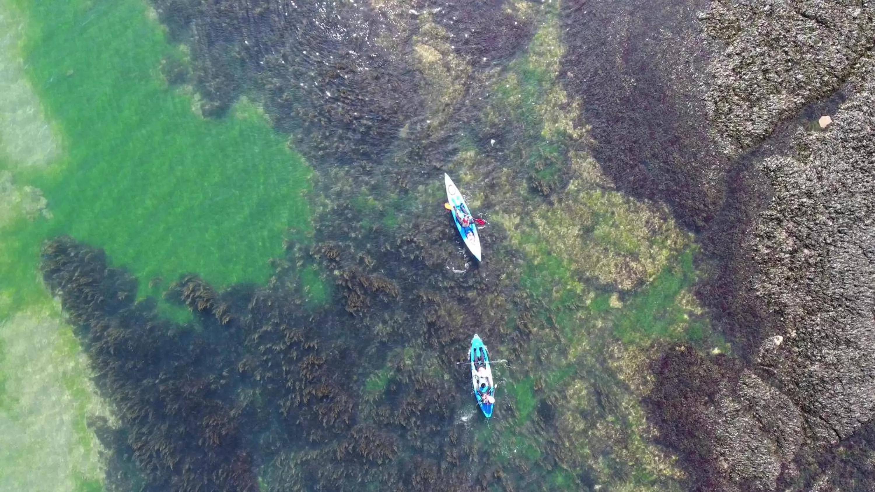 Activities in Abingdon House