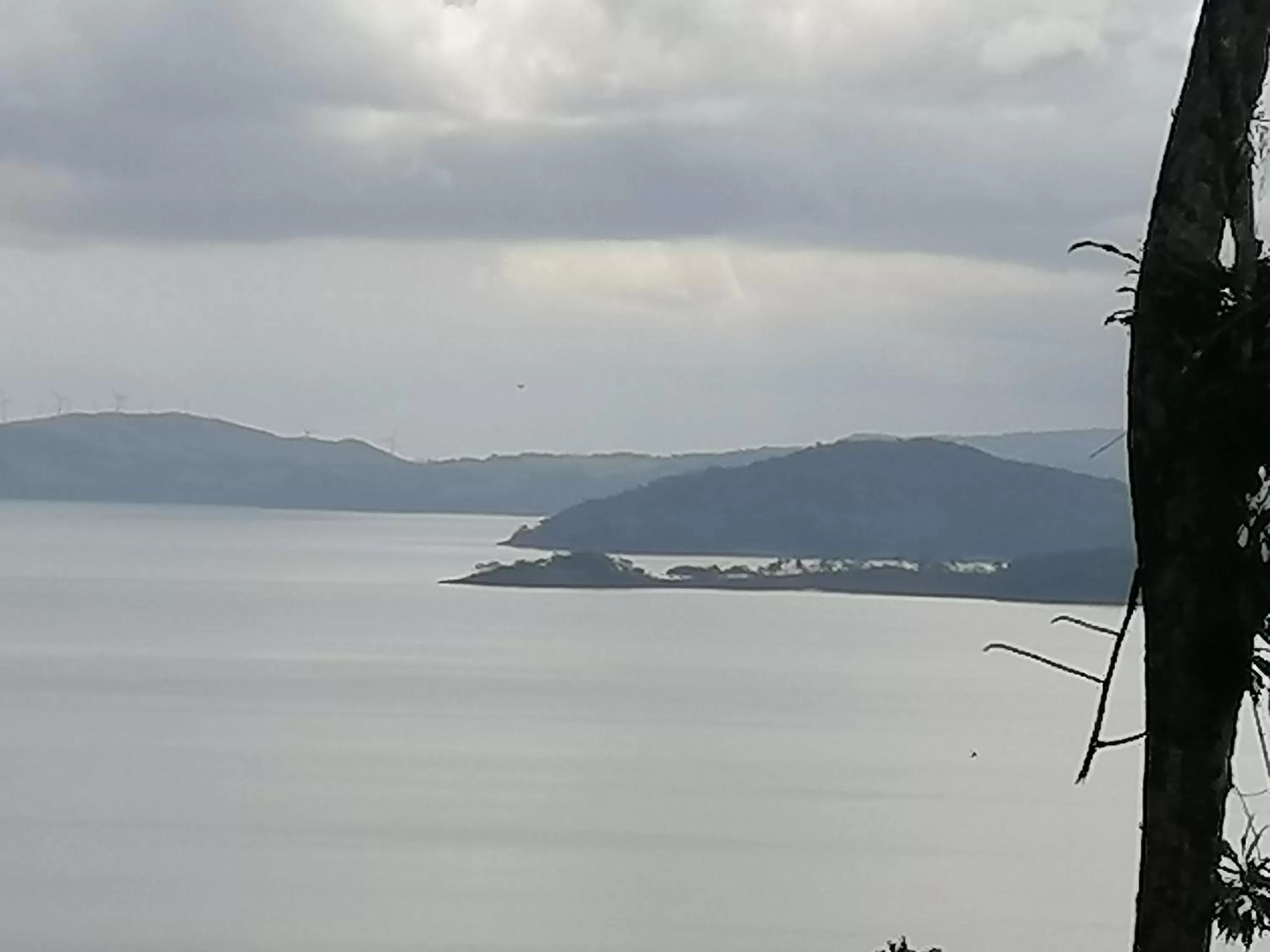 Natural landscape in La Ceiba Tree Lodge